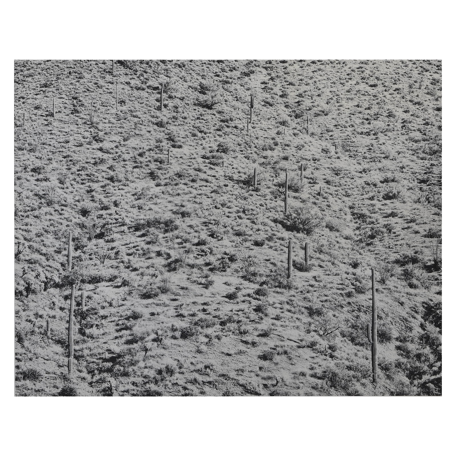 GARRY WINOGRAND (1928–1984)ALBUQUERQUE, NEW MEXICO (1 of 4)