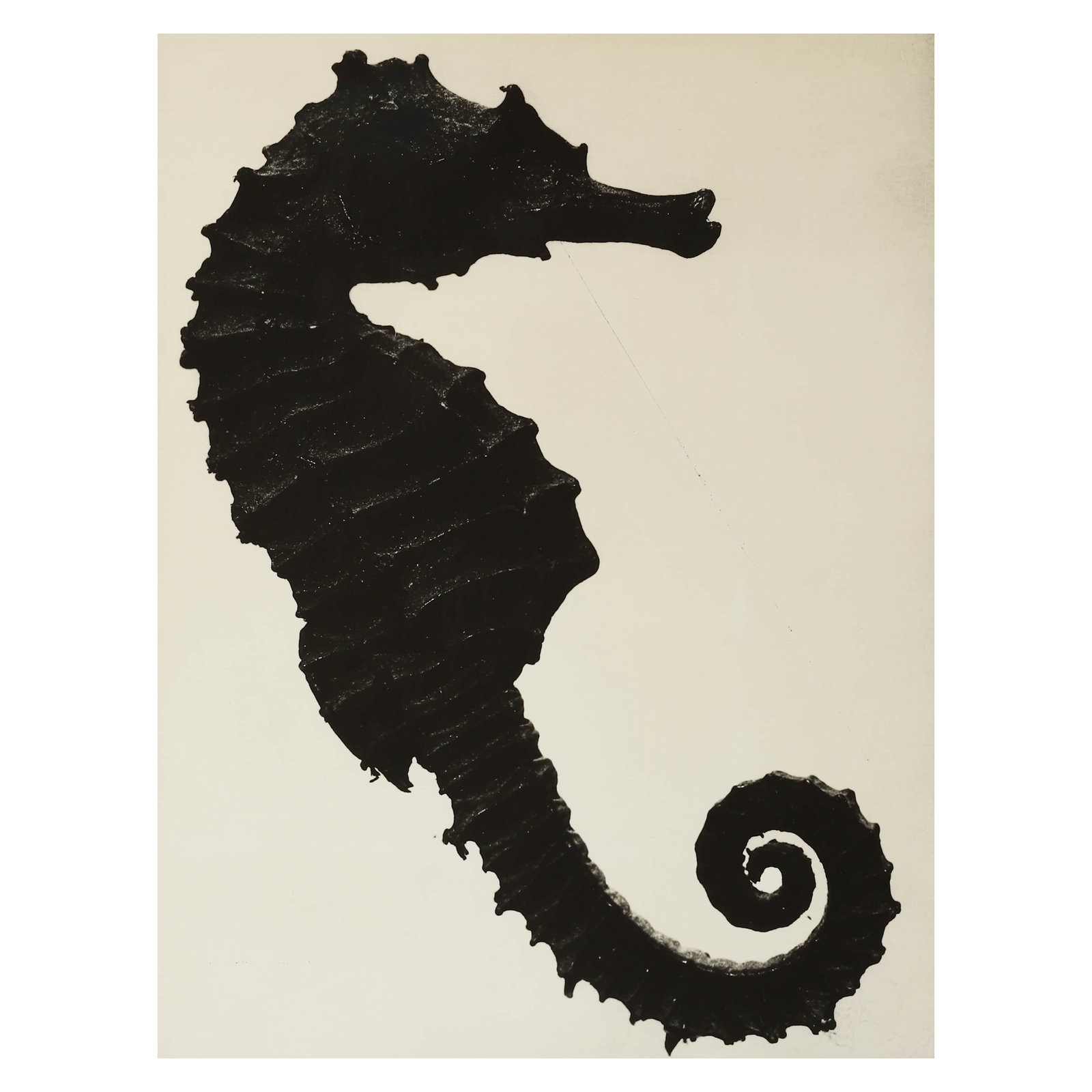 MAN RAY (1890–1976)HISTOIRE NATURELLE: Artist MAN RAY (1890–1976) Title HISTOIRE NATURELLE Medium Gelatin silver print, mounted on board Signature Signed lower right on the recto; stamped on the verso Dimensions Photograph: 9 × 11 3/4 i