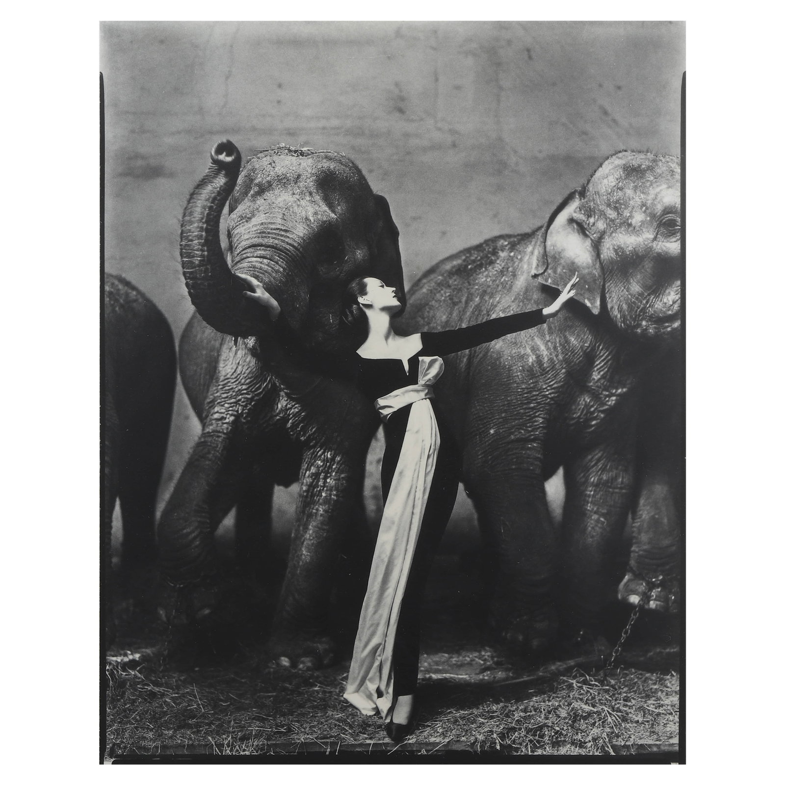 RICHARD AVEDON (1923–2004), DOVIMA WITH ELEPHANTS, EVENING DRESS BY DIOR, CIRQUE D'HIVER, PARIS (1 of 4)