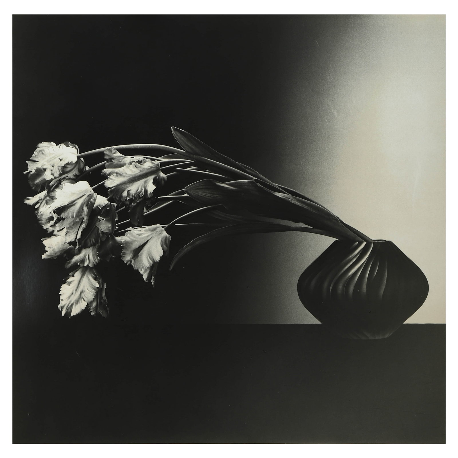 MAPPLETHORPE (1946–1989)PARROT TULIPS (1 of 4)