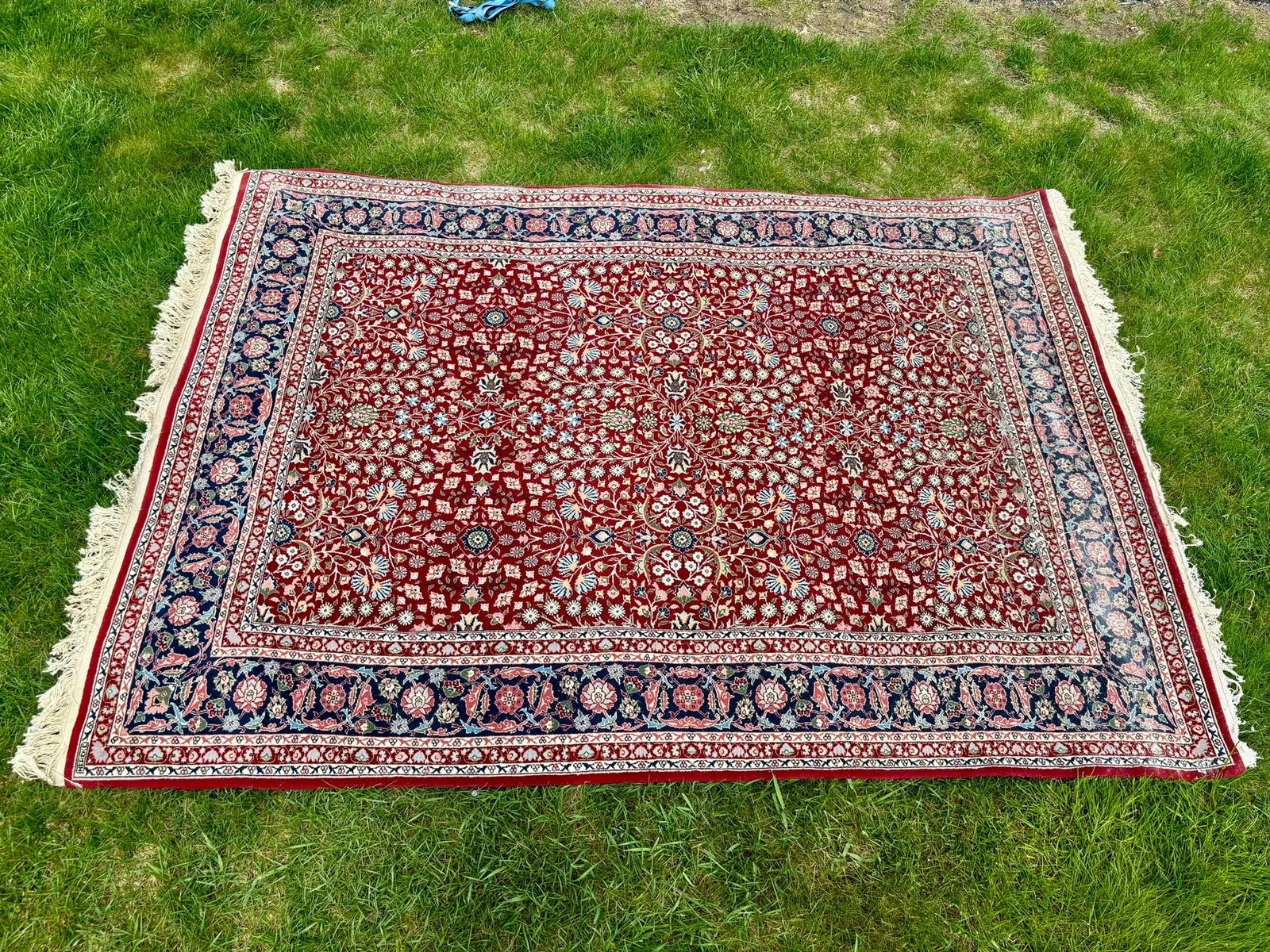 Turkish Rug (1 of 4)