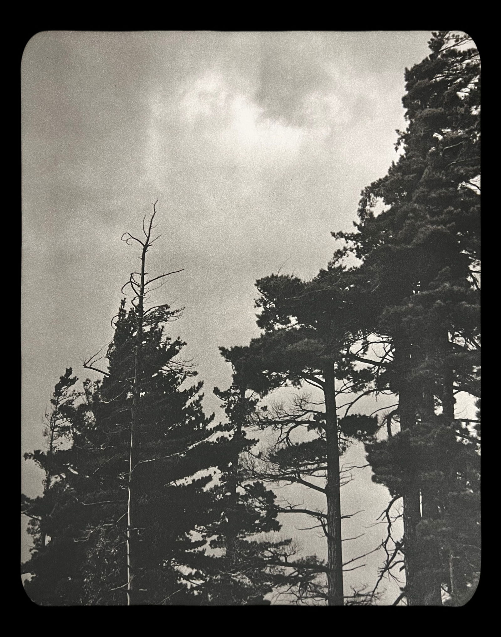 Bruce Weber, Untitled, 1988: Photographer: Bruce Weber (American, b. 1946) - internationally renowned American fashion photographer best known for his racy, erotically charged imagery. Weber has shot the ad campaigns of Calvin Kl