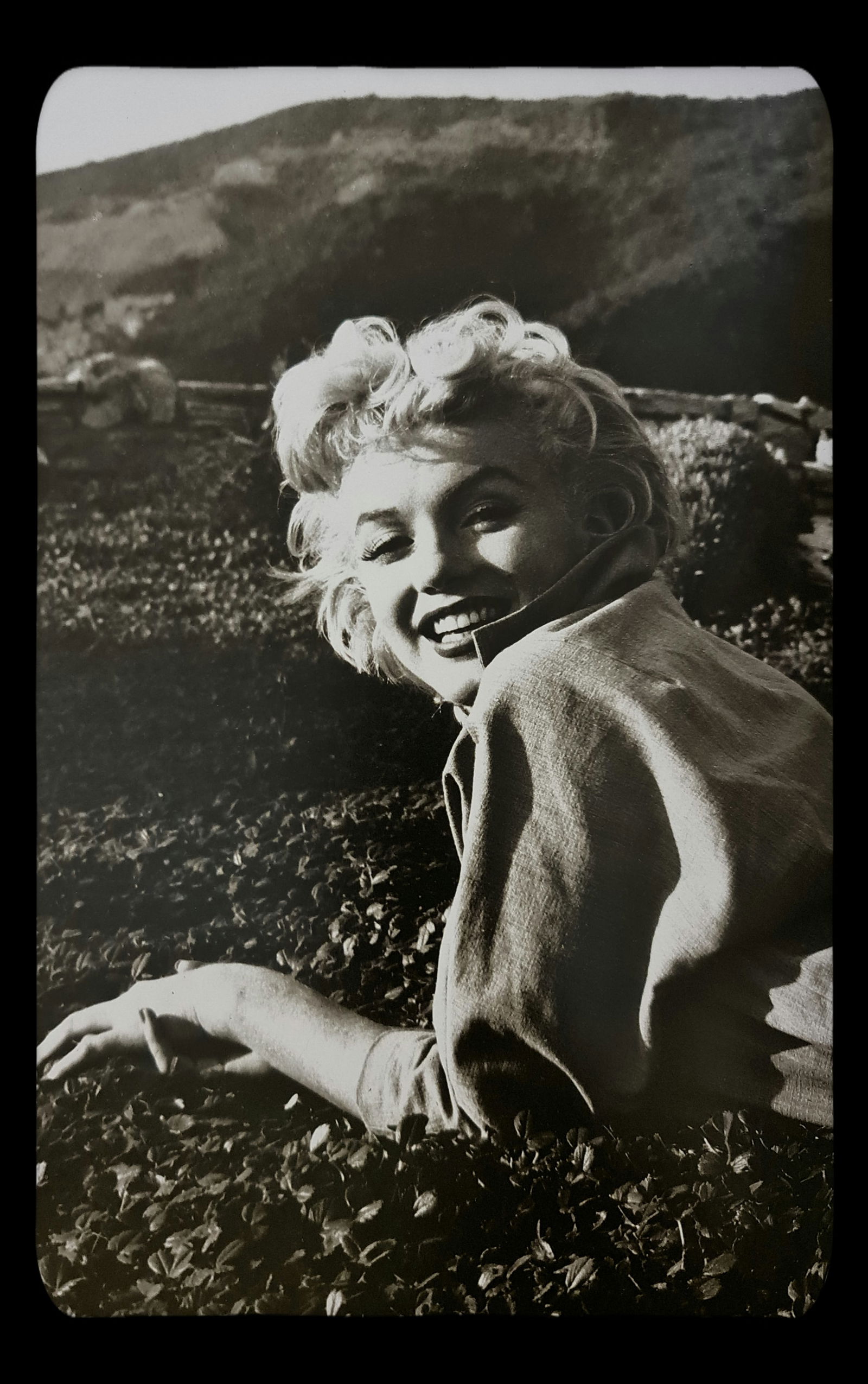 Baron, A happy Marilyn Monroe, 1954 (1 of 1)