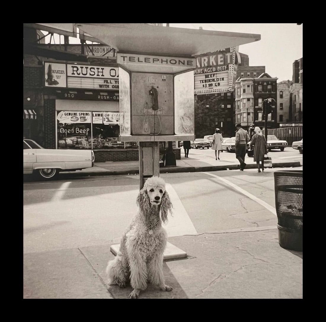 Vivian Maier, Chicago, C.1960: Photographer: Vivian Dorothy Maier, (1926-2009) was an American street photographer whose work was discovered and recognized after her death. She worked for about 40 years as a nanny, mostly in Chicag