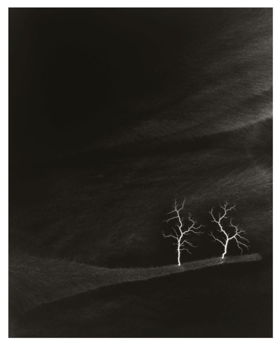 Hiroshi Sugimoto, Lightning Fields 144, 2009 (1 of 1)