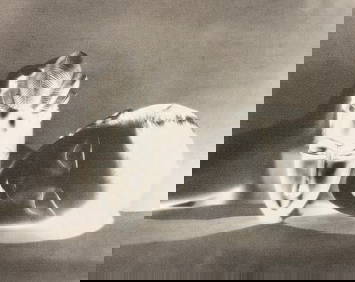 Man Ray, Noire et Blanche (reverse negative print), 1926 (1 of 1)