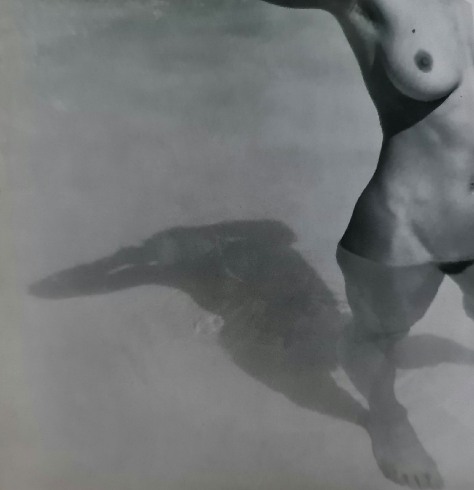 Robert Mapplethorpe 'Lisa Lyon 1983 (1 of 1)