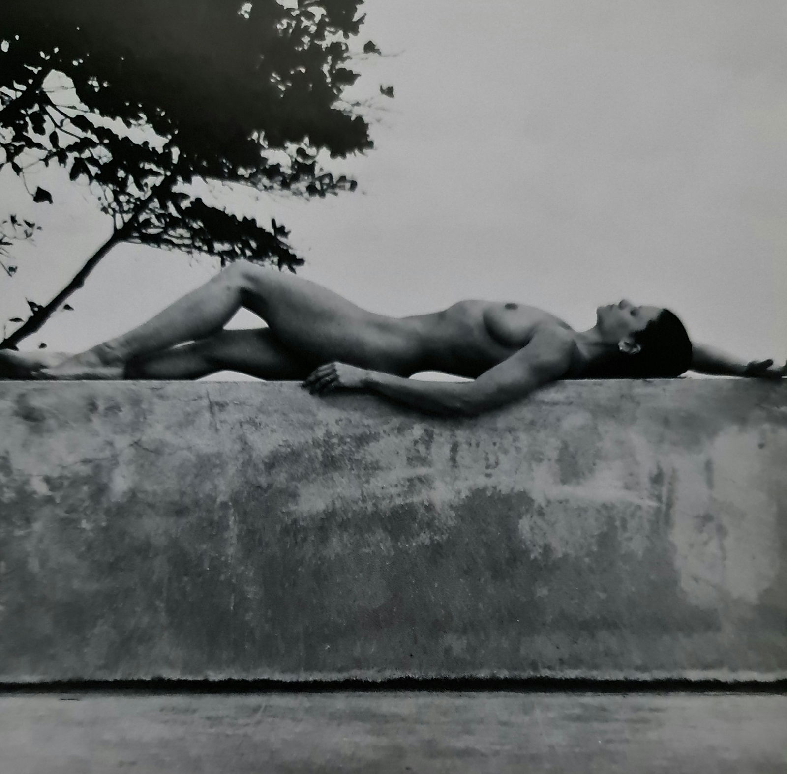 Robert Mapplethorpe 'Lisa Lyon 1983 (1 of 1)