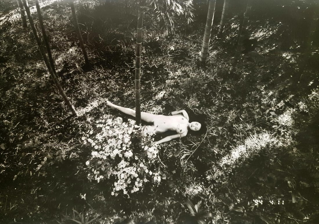 Nobuyoshi Araki, Untiteld, 1994 - 5 (1 of 1)