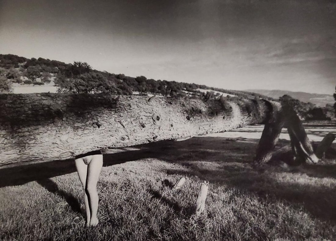 John Swannell, Nude with Log, 1980's: Photographer: John Swannell was born in 1946. After leaving school at 16, he worked first as an assistant at Vogue Studios and then assisted David Bailey for four years before setting up his own studi