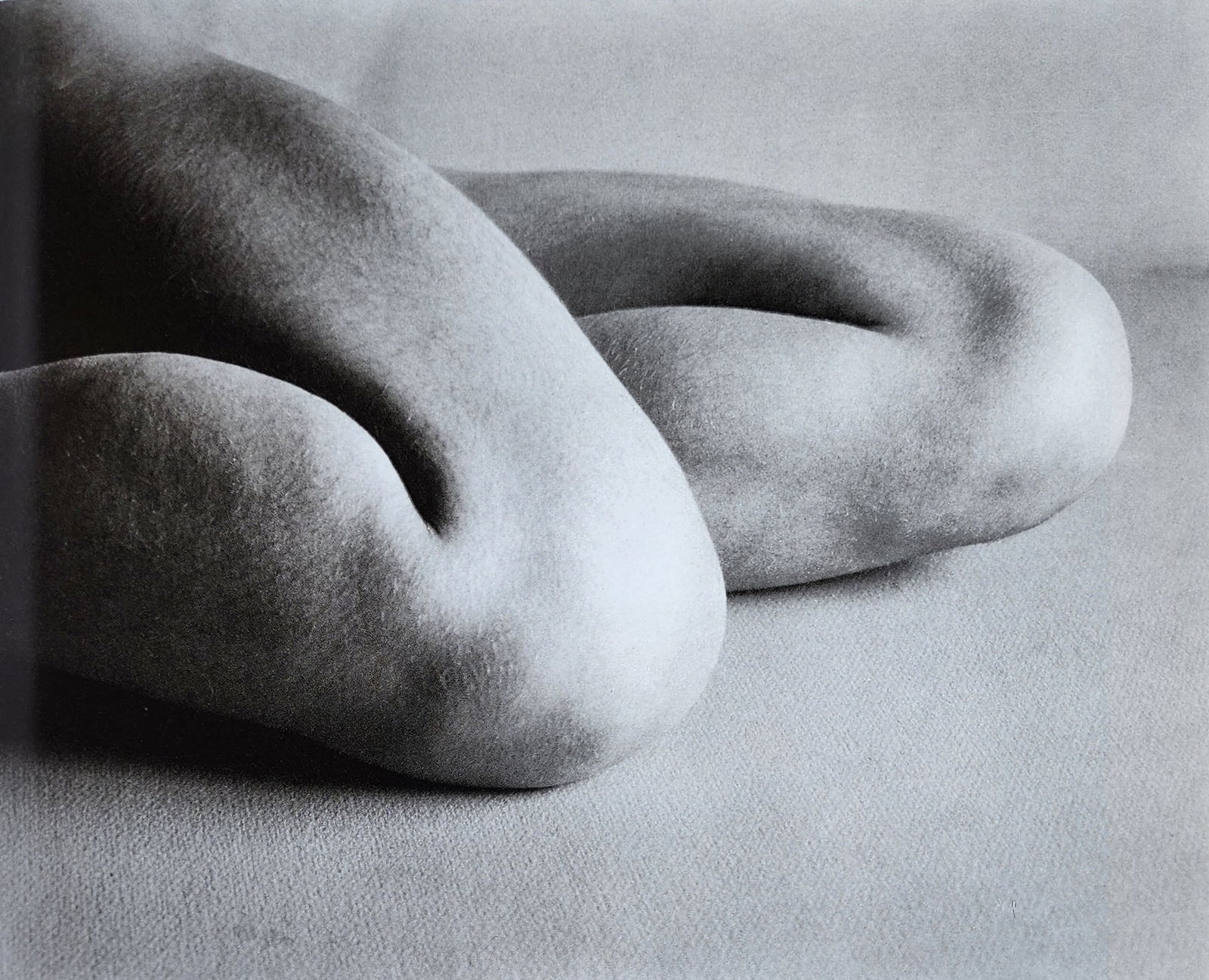 Edward Weston - Nude #50, 1927: Photographer: Edward Weston 1886-1958) was a 20th-century American photographer, considered "one of the most innovative and influential American photographers". His photography revealed a focus on the