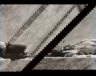 Manuel Alvarez, The Dreamer, 1931: Photographer: Manuel Alvarez Bravo - (1902-2002) was a Mexican artistic photographer and one of the most important figures in 20th century Latin American photography. He was born and raised in Mexico