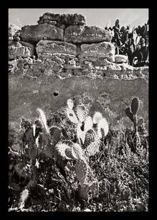 Manuel Alvarez, Thorns, 1940s: Photographer: Manuel Alvarez Bravo - (1902-2002) was a Mexican artistic photographer and one of the most important figures in 20th century Latin American photography. He was born and raised in Mexico