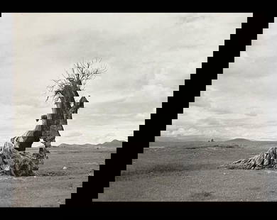 Manuel Alvarez, Tree Struck By Lightning, 1956: Photographer: Manuel Alvarez Bravo - (1902-2002) was a Mexican artistic photographer and one of the most important figures in 20th century Latin American photography. He was born and raised in Mexico