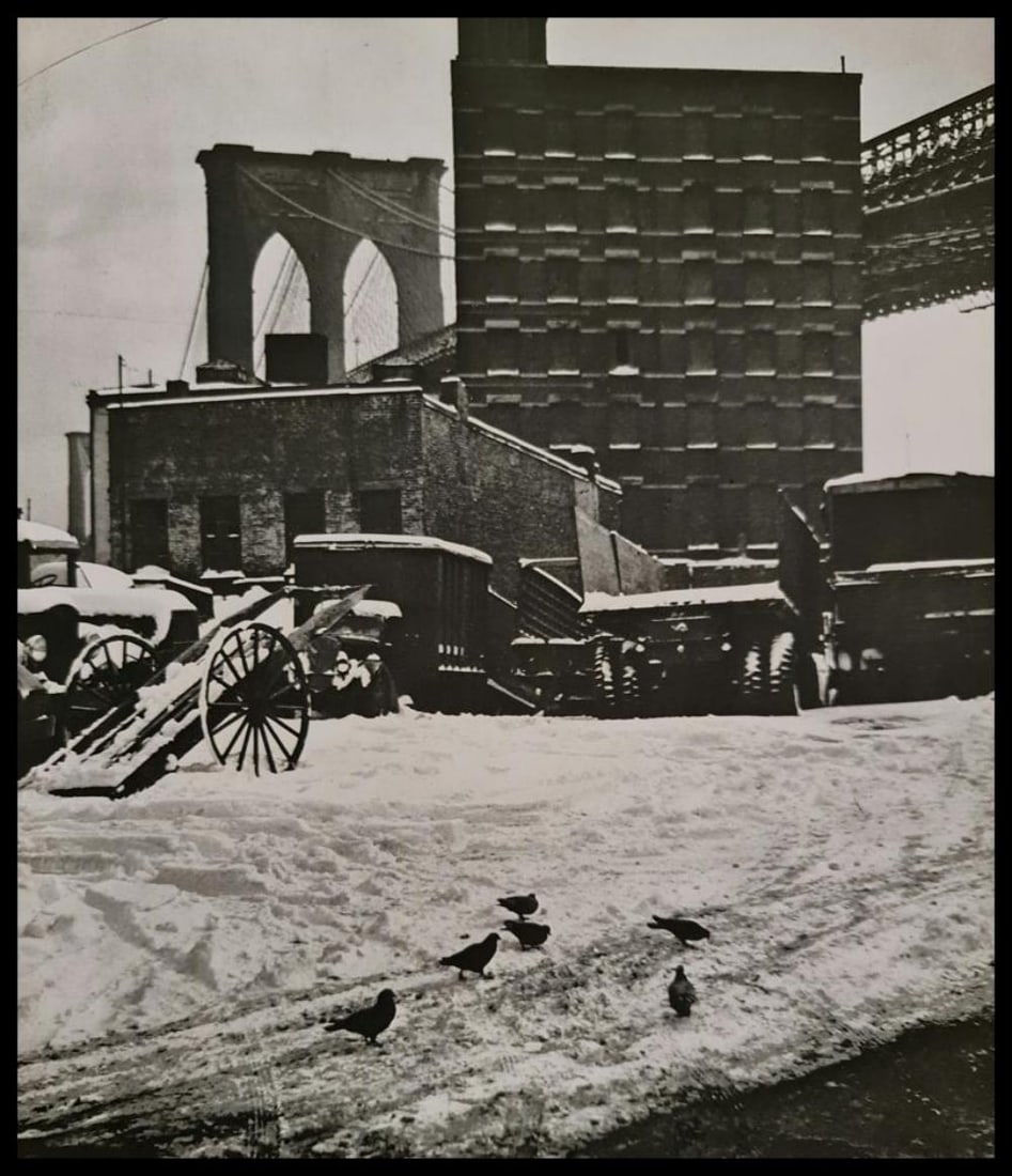 André Kertész, Birds in the snow, New York, 1947: Photographer: André Kertész, born Andor Kertész, was a Hungarian-born photographer known for his groundbreaking contributions to photographic composition and the photo essay. Subject: Birds in the