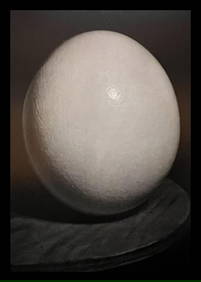 Man Ray, Ostrich Egg, 1944 (1 of 1)
