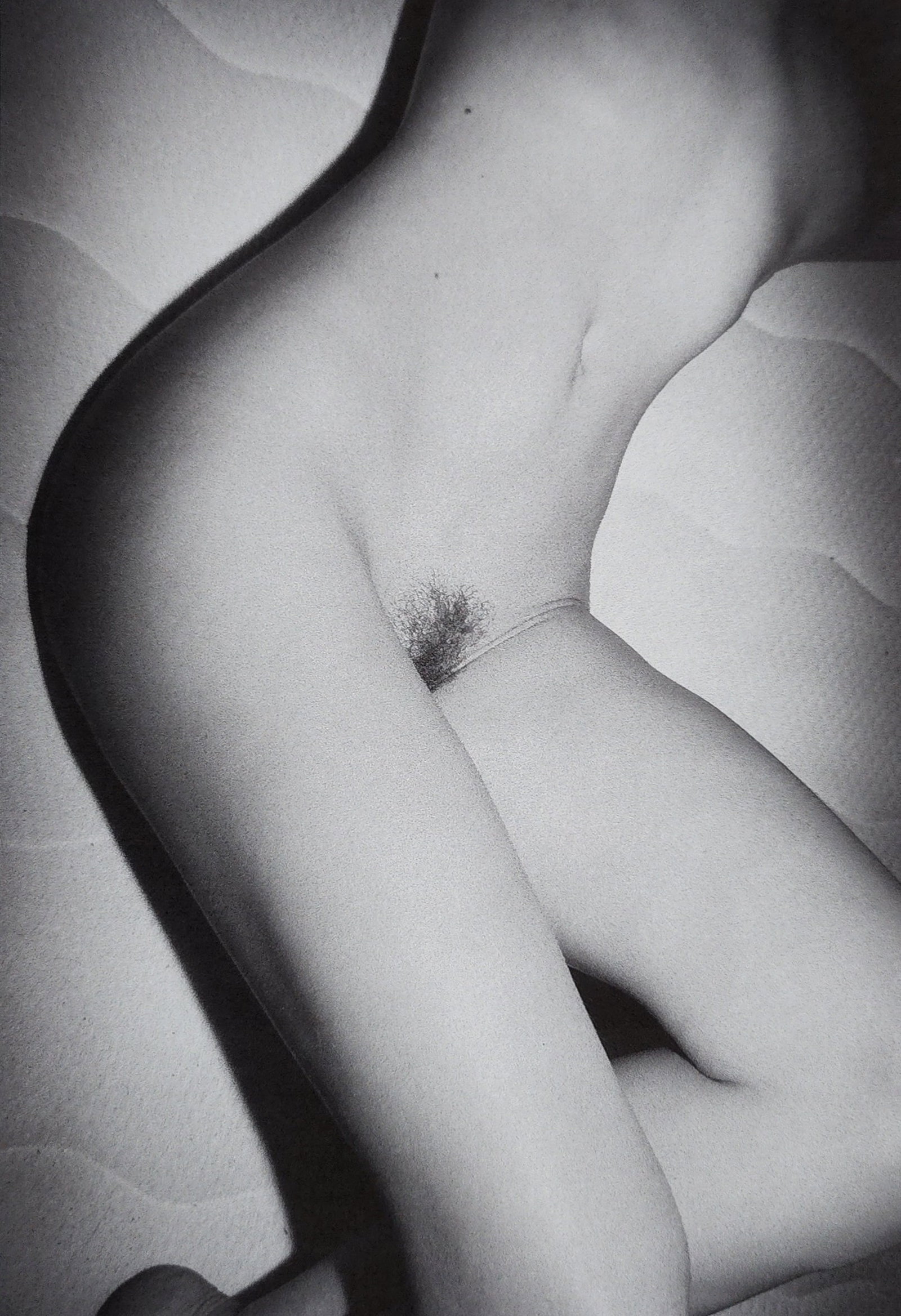 Artist/Photographer: Leonardo Glauso Title/Subject: Erotic Portraits Type Of Print: Authentic Sheet: Artist/Photographer: Leonardo Glauso Title/Subject: Erotic Portraits Type Of Print: Authentic Sheet Fed Photogravure/Heliogravure. Date Of Print: 2002 Paper: Medium weight, satin/matte finish. Print O