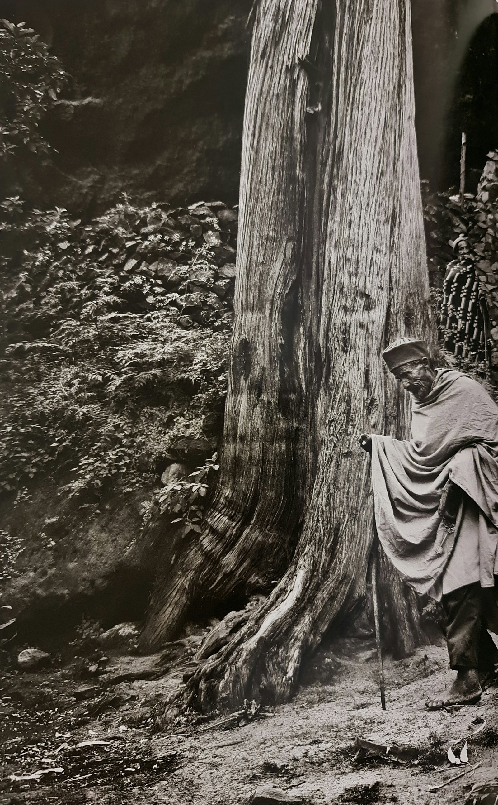 Photographer: Sebastiao Ribeiro Salgado Junior is a Brazilian social documentary photographer and: Photographer: Sebastiao Ribeiro Salgado Junior is a Brazilian social documentary photographer and photojournalist. He has traveled to over 120 countries for his photographic projects. Most of these ha