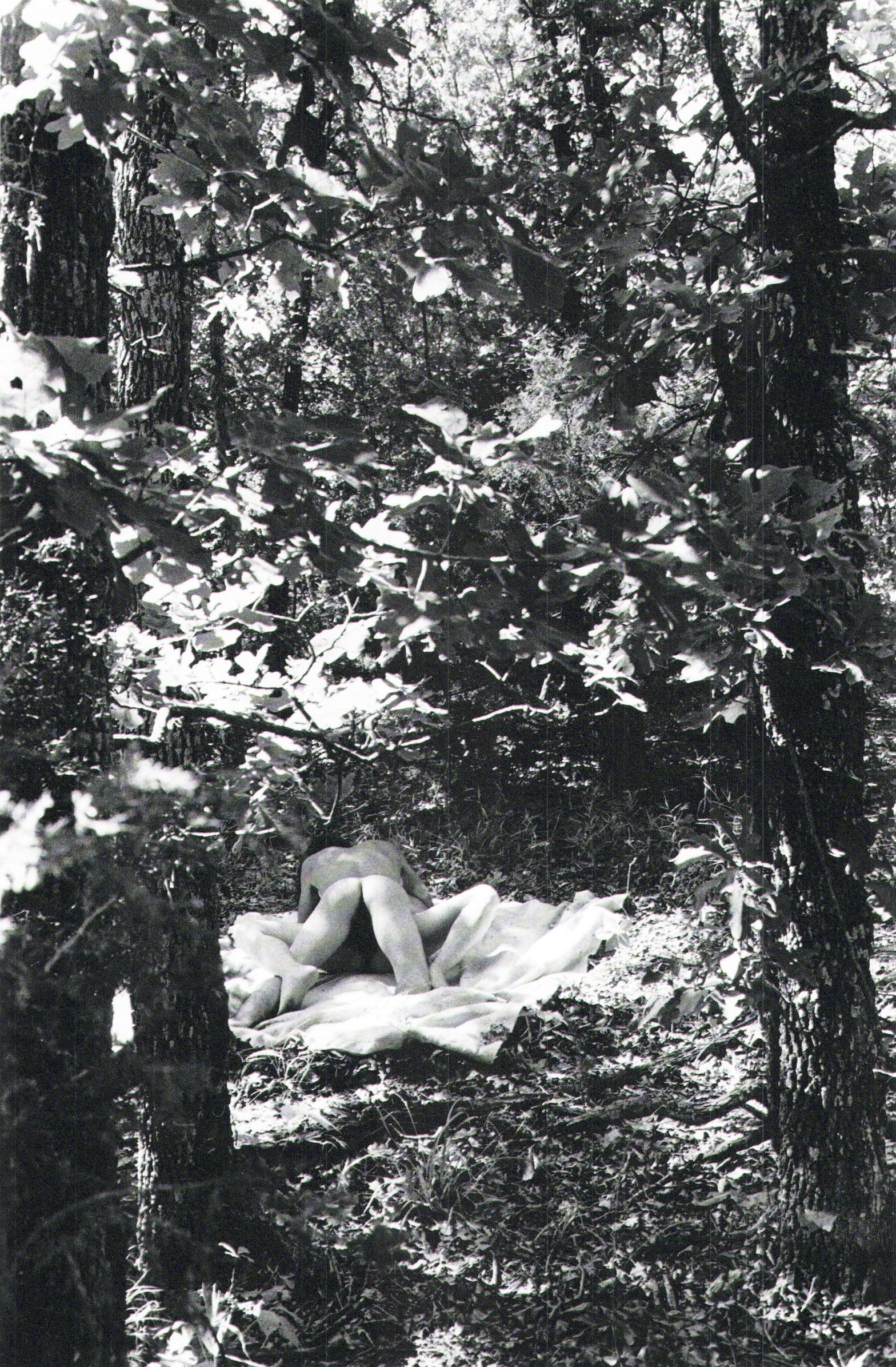 Larry Clark, Teenage Lust - Untitled, 1983, 5x9.5 (1 of 1)