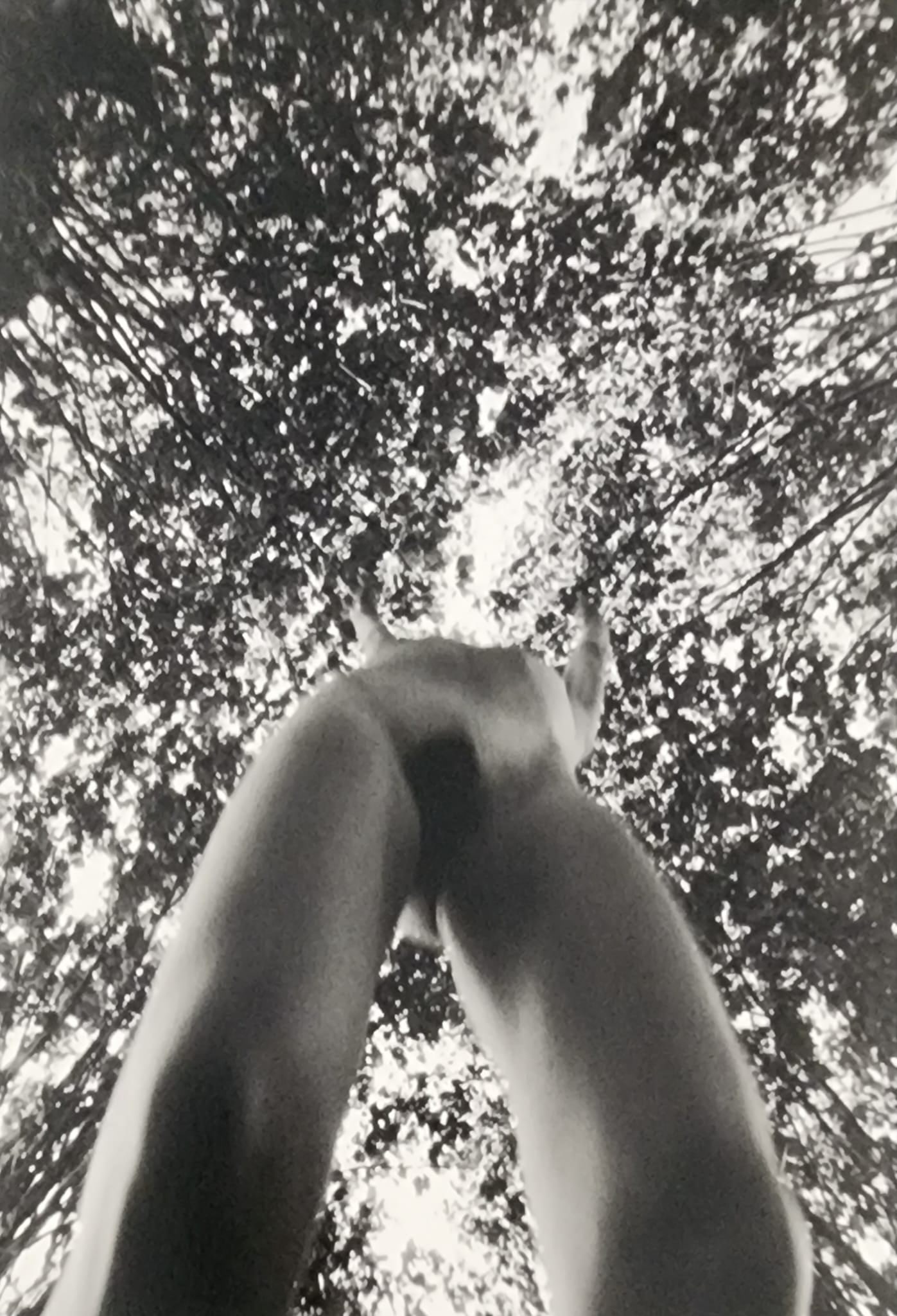Pascal Baetens, 'The Art of Nude', 2022: Artist/Photographer: Pascal Baetens Title/Subject: The Art of Nude Type: Authentic Sheet Fed Photogravure/Heliogravure. Paper: Medium weight, satin/matte finish. Print Origin: Bosnia Approximate Image