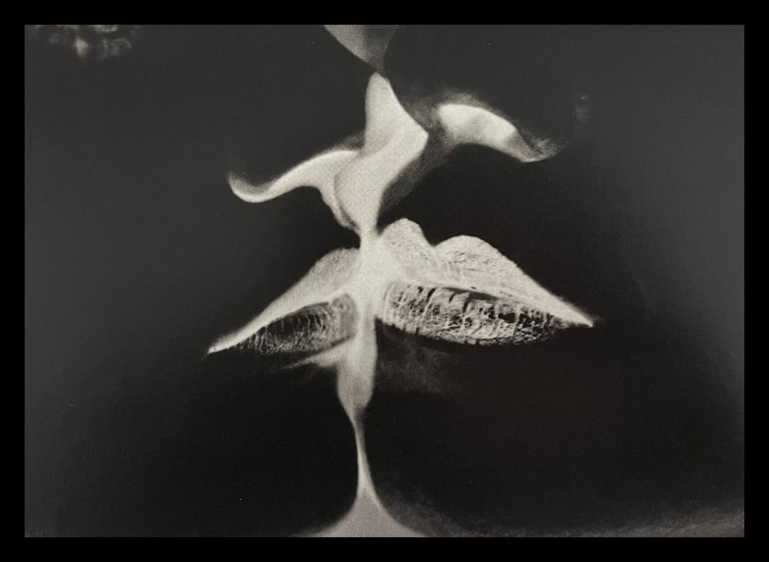 Man Ray, La Baiser (Negative Print), 1935: Photographer: Man Ray (American born, 1890 - 1976) - Considered one of the most influential artists of the 20th century Man Ray lived most of his life in Paris, France. Best described as a modernist,