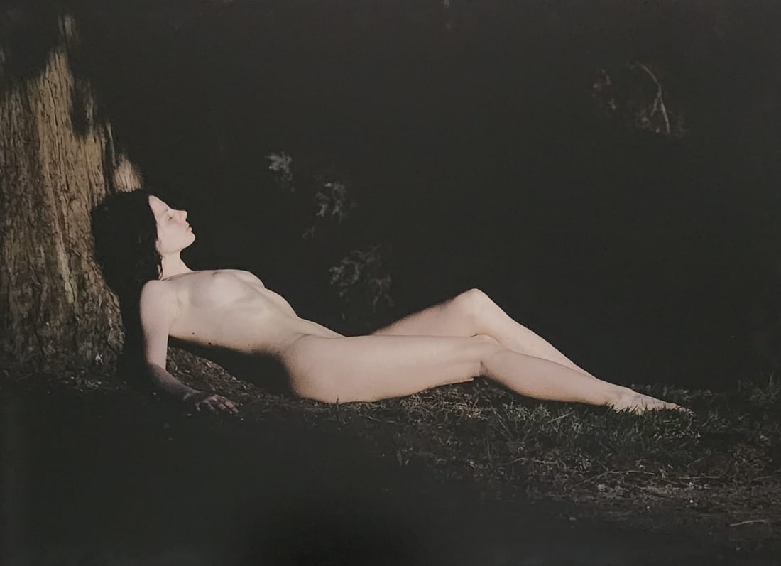 Pascal Baetens, Tasteful Nudes, 2003 (1 of 1)