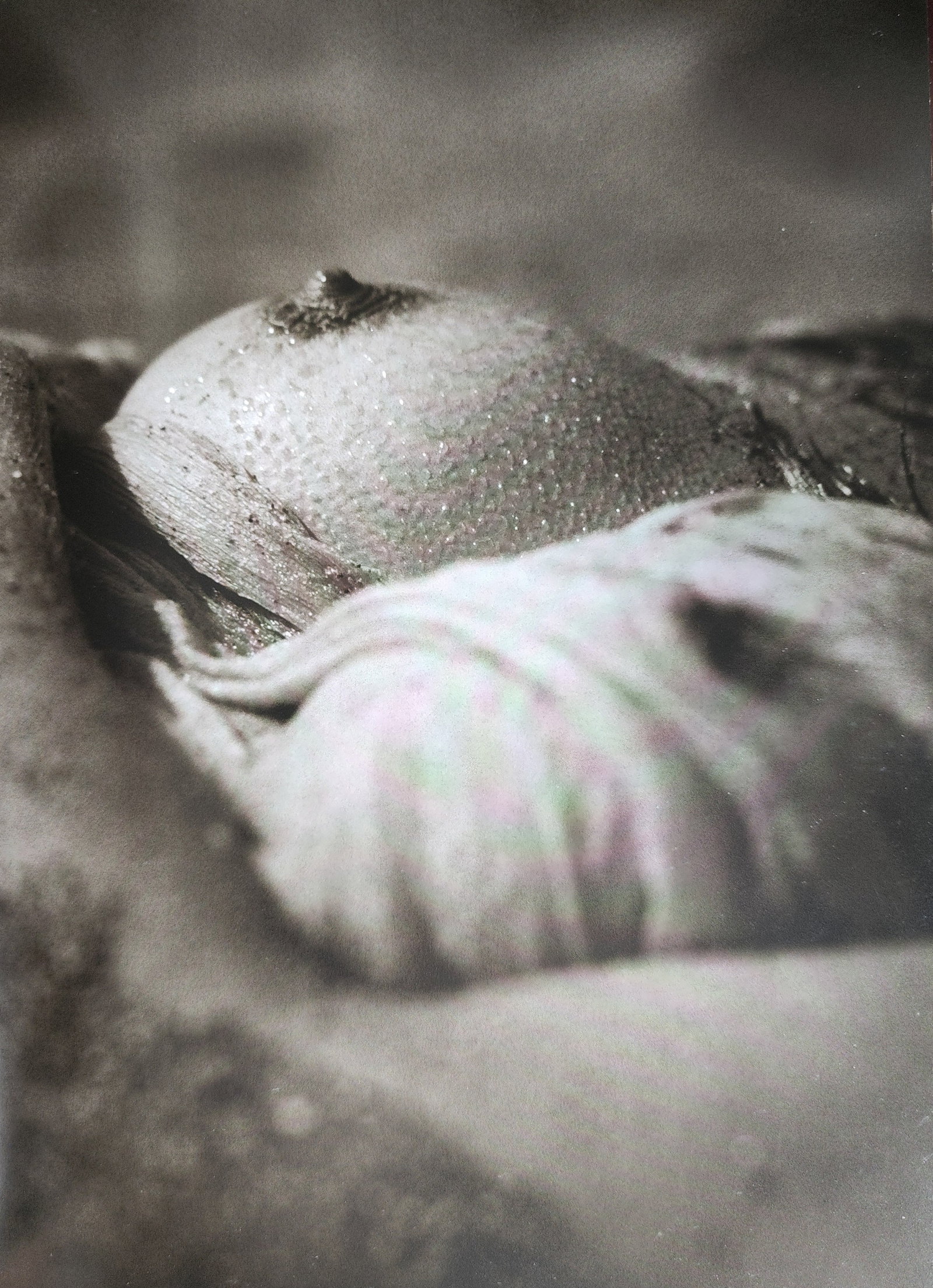 Andreas H. Bitesnich, Woman 2001 (54): Andreas H. Bitesnich, Woman 2001