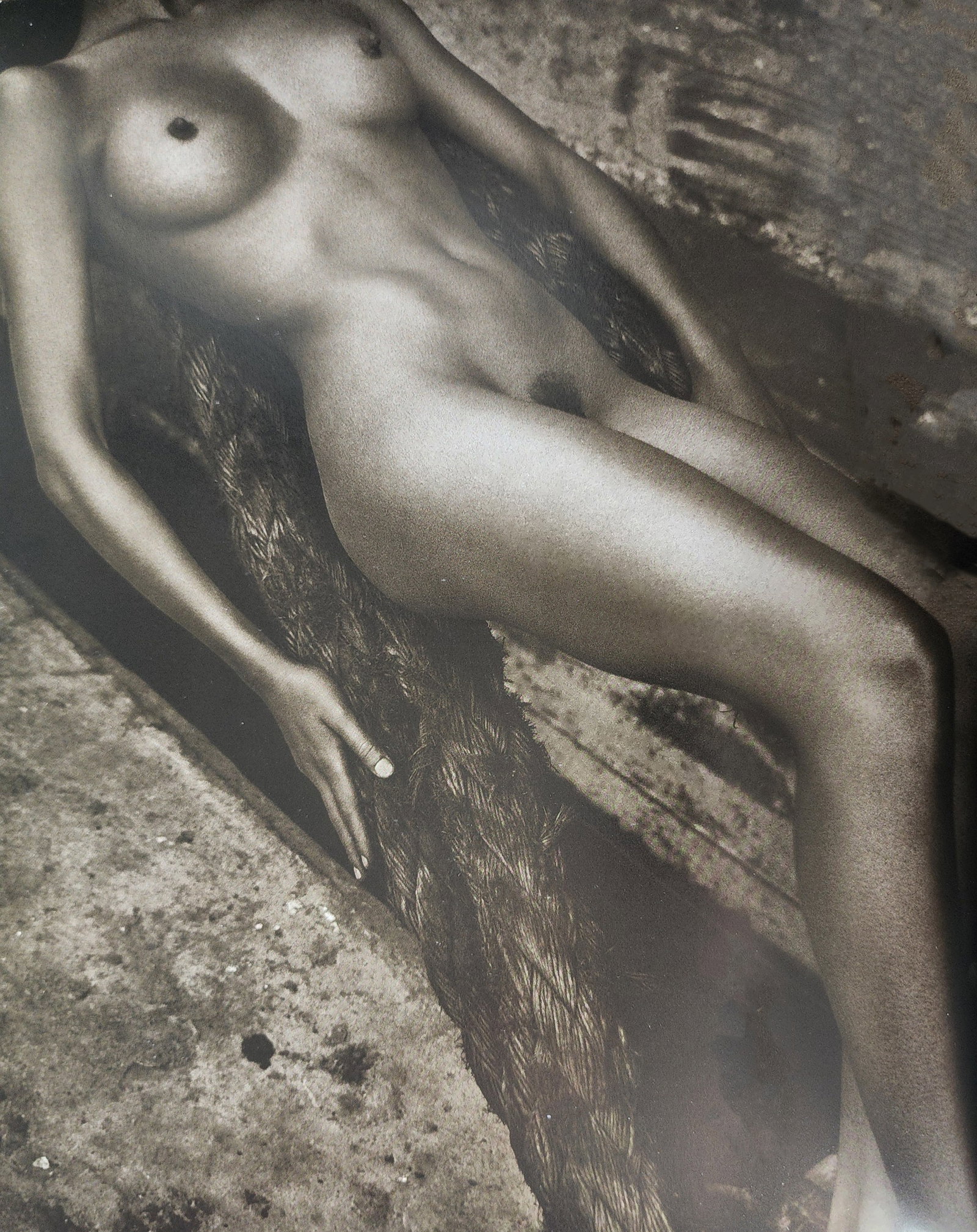 Andreas H. Bitesnich, Woman 2001 (55): Andreas H. Bitesnich, Woman 2001