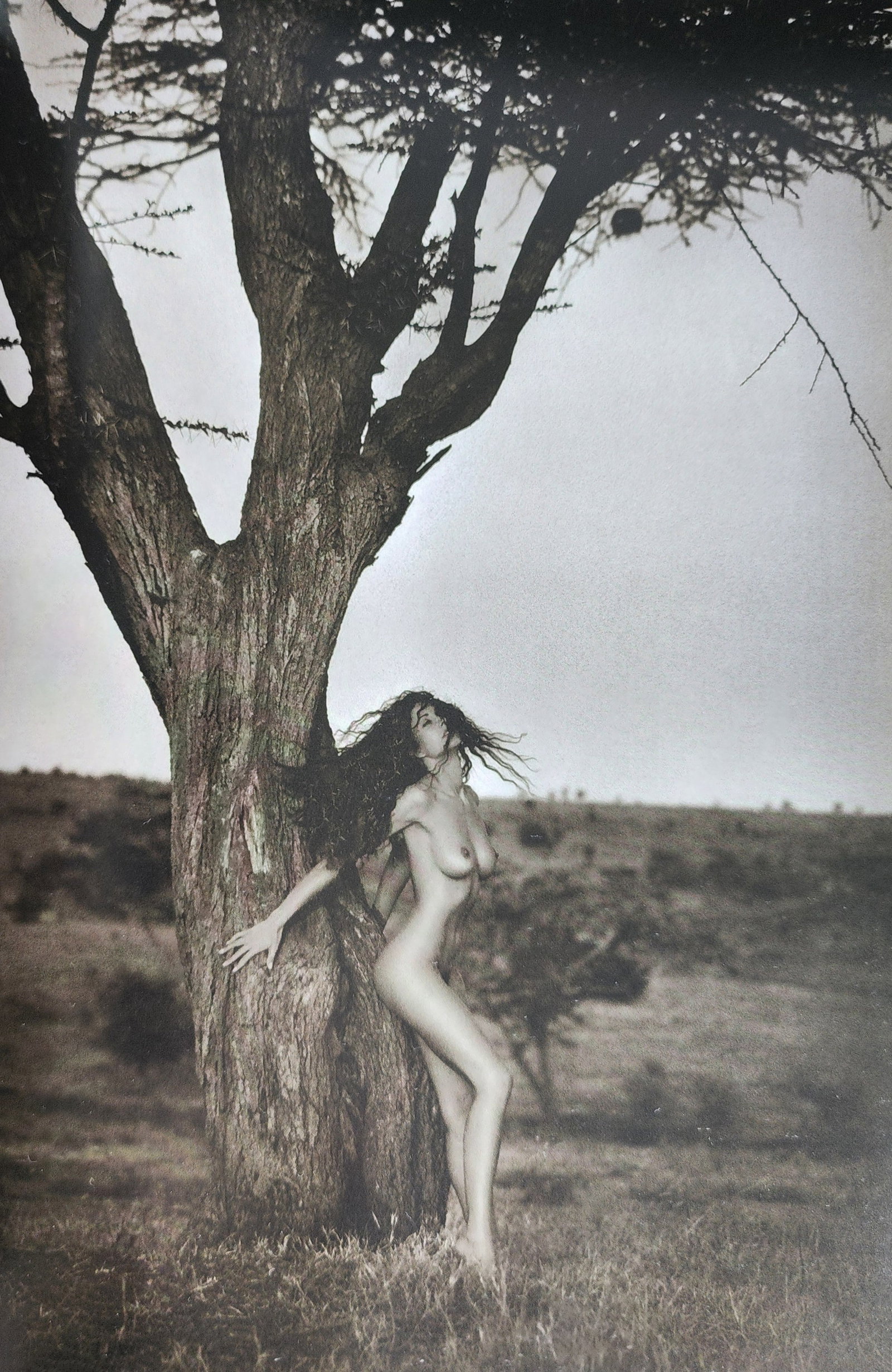 Andreas H. Bitesnich, Woman 2001 (56): Andreas H. Bitesnich, Woman 2001