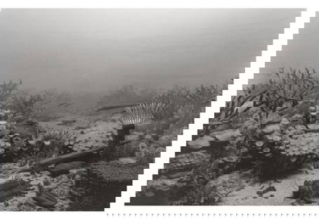 Hiroshi Sugimoto, Devonian Period, 1992, Limited Edition Of 360: Photographer: Hiroshi Sugimoto is a contemporary Japanese photographer whose esoteric practice explores memory and time. Using the intrinsic quality of long exposure photography, the artist provides i