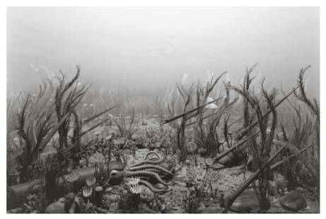 Hiroshi Sugimoto, Ordorician Period, 1992, Limited Edition Of 360: Photographer: Hiroshi Sugimoto is a contemporary Japanese photographer whose esoteric practice explores memory and time. Using the intrinsic quality of long exposure photography, the artist provides i