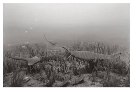 Hiroshi Sugimoto, Silurian Period, 1992, Limited Edition Of 360: Photographer: Hiroshi Sugimoto is a contemporary Japanese photographer whose esoteric practice explores memory and time. Using the intrinsic quality of long exposure photography, the artist provides i