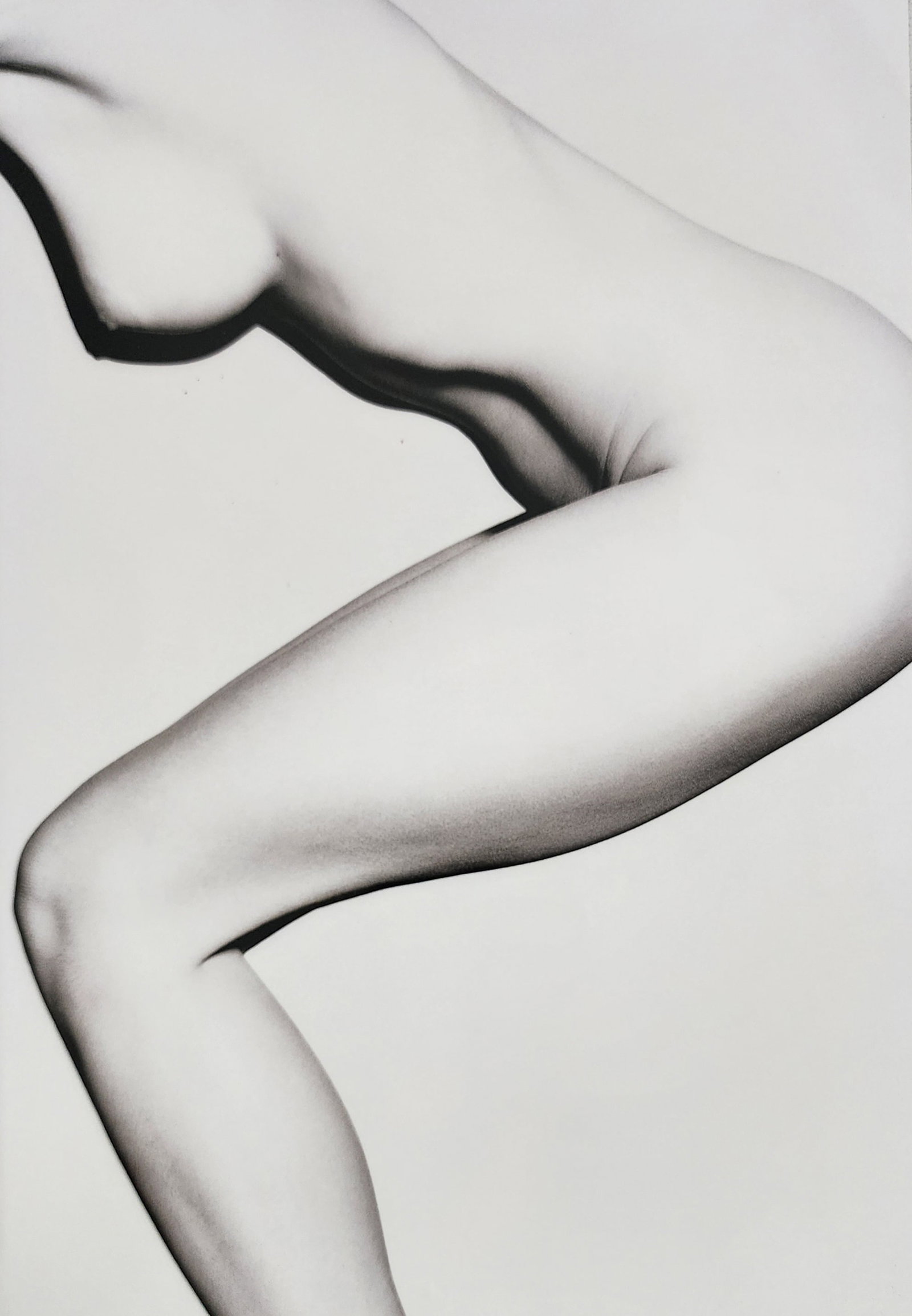 Alina Reyes, Nude Female Models, 2005: Artist/Photographer: Alina Reyes Title/Subject: Nudes Female Model Type Of Print: Authentic Sheet Fed Photogravure/Heliogravure. Date Of Print: 2005 Paper: Medium weight, satin/matte finish. Print Ori