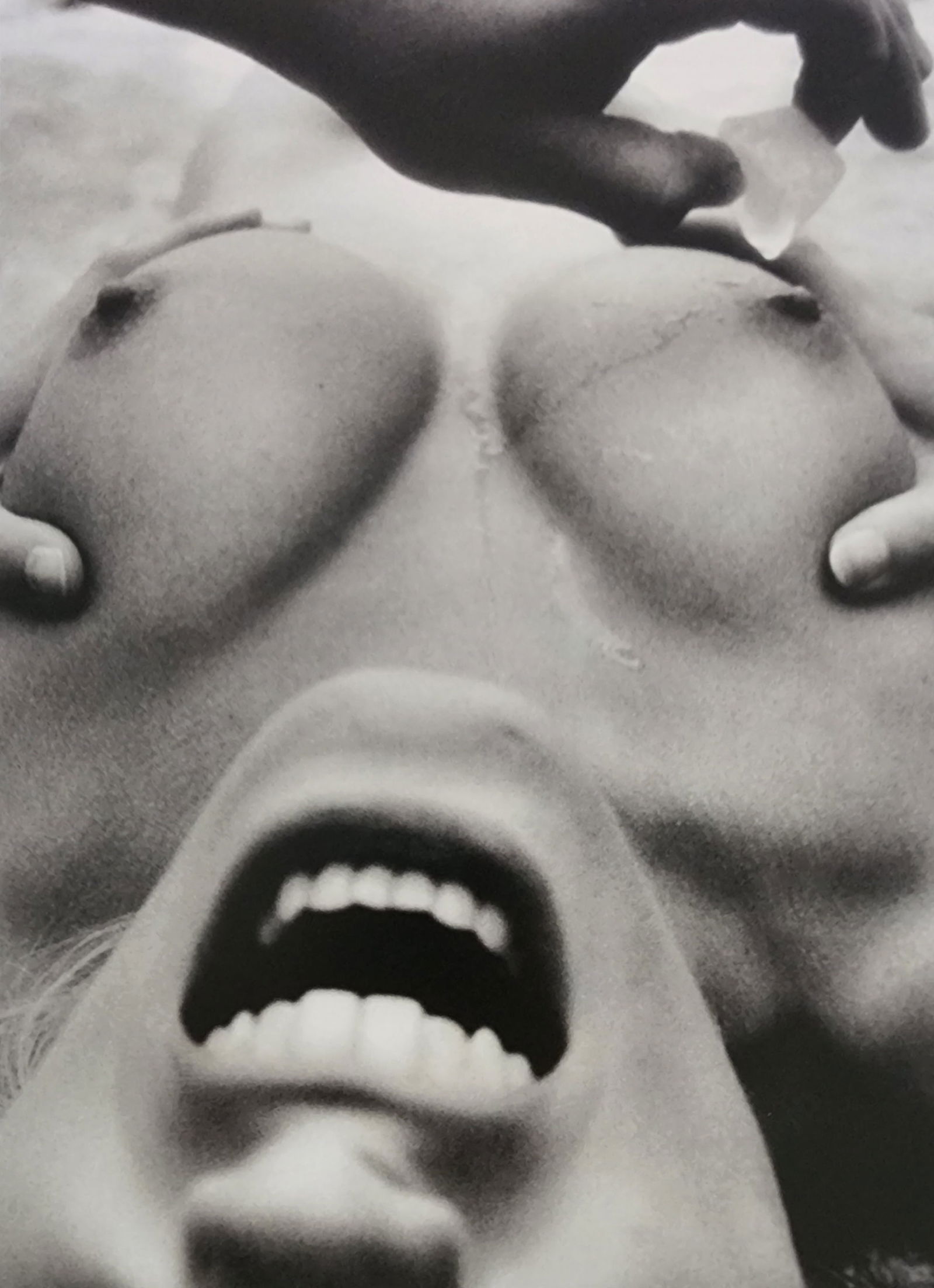 Best Female Nude Photography, 1850 - 2001: Artist/Photographer: Various photogrpher, include: Araki, Exe Arnold, Peter Beard, Bill Brandt, Brassai, Lucien Clergue, Horst P. Horst..... Title/Subject: Best female nudes photography 1850 to 2001 T