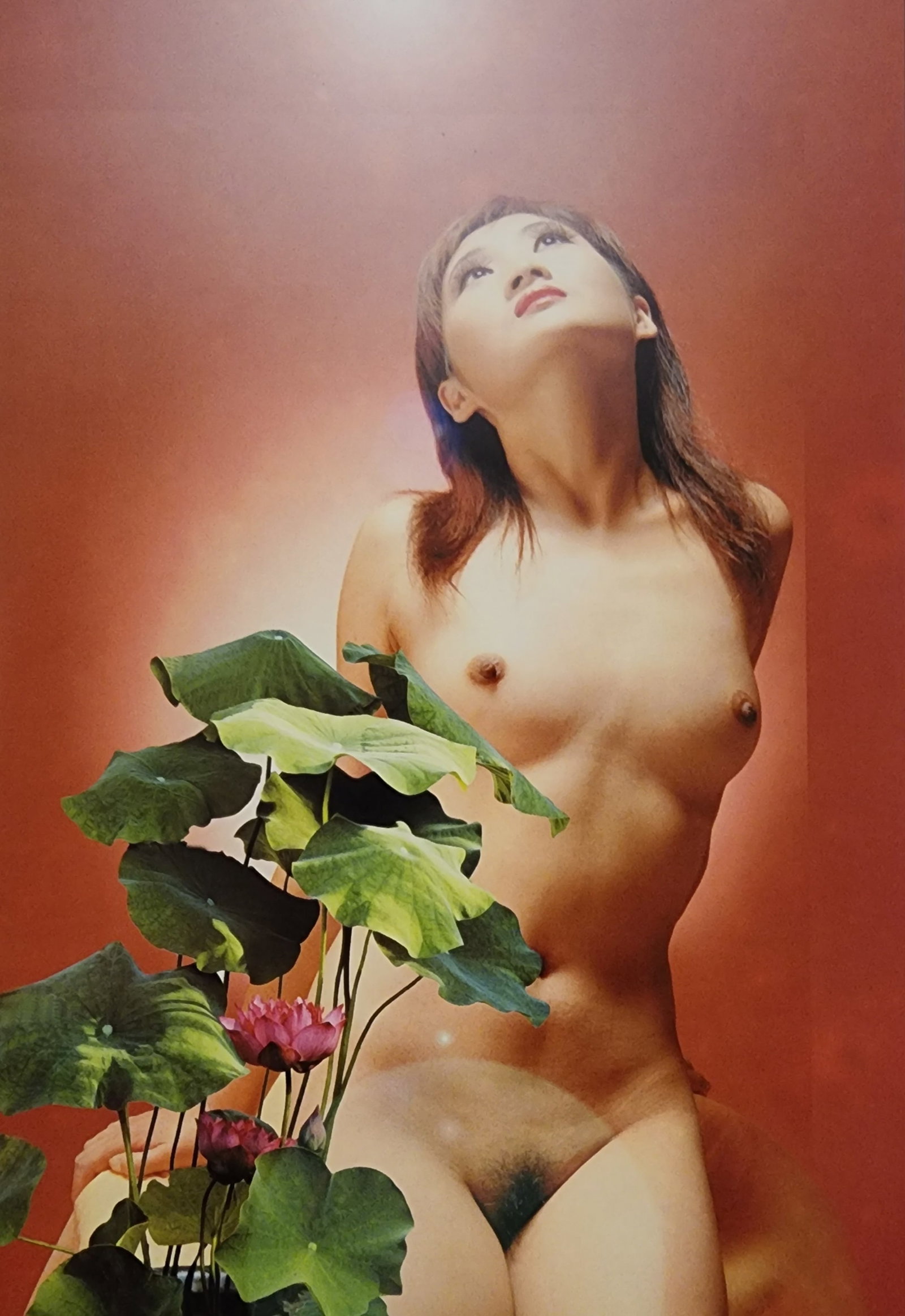 Body Shadow Nude Asian Female, 2004: Title/Subject: Body Shadow Nude Asian Female Type Of Print: Authentic Sheet Fed Photogravure/Heliogravure. Date Of Print: 2004 Paper: Medium weight, satin/matte finish. Print Origin: China Approximate
