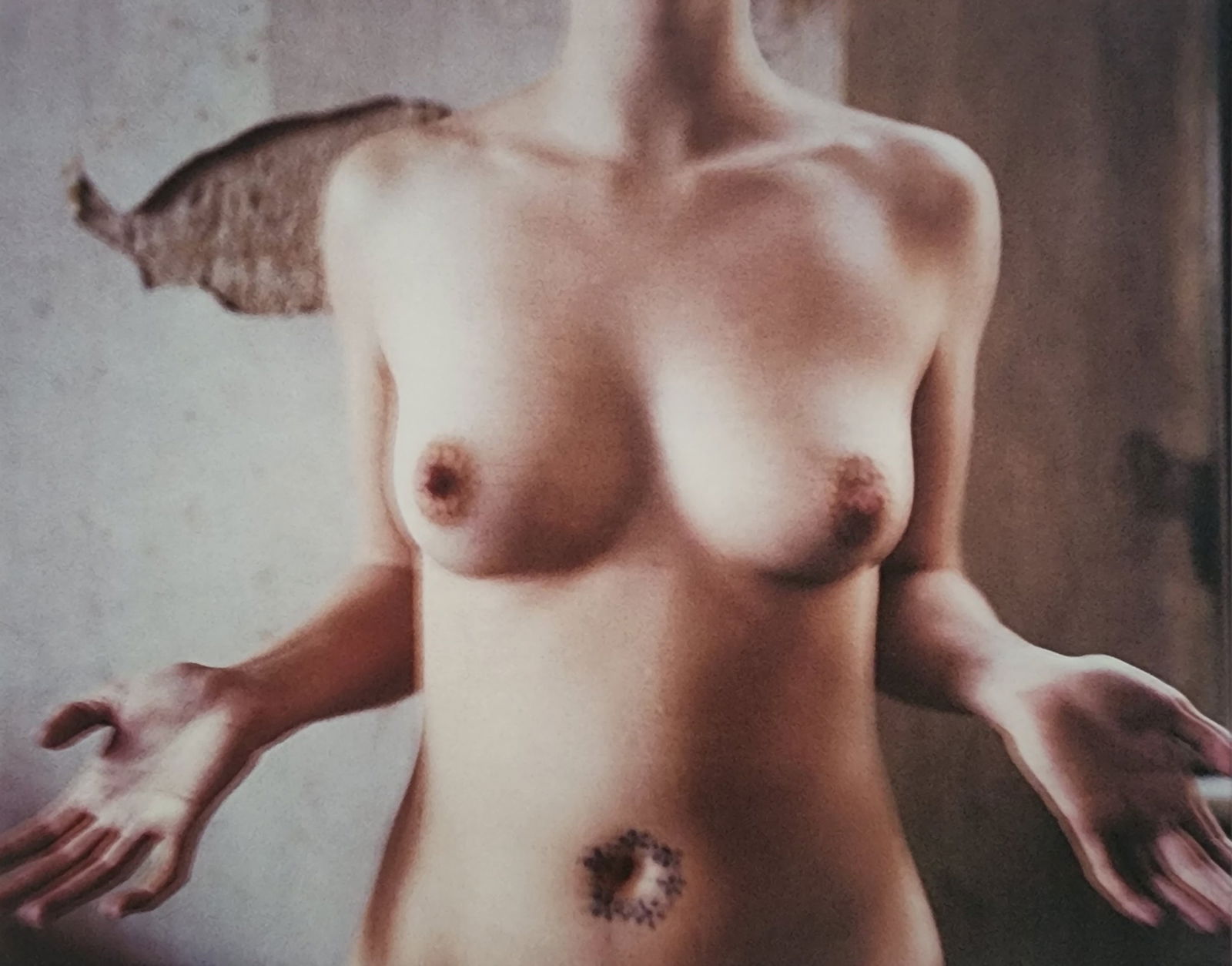 Best Female Nude Photography, 1850 - 2001: Artist/Photographer: Various photogrpher, include: Araki, Exe Arnold, Peter Beard, Bill Brandt, Brassai, Lucien Clergue, Horst P. Horst..... Title/Subject: Best female nudes photography 1850 to 2001 T
