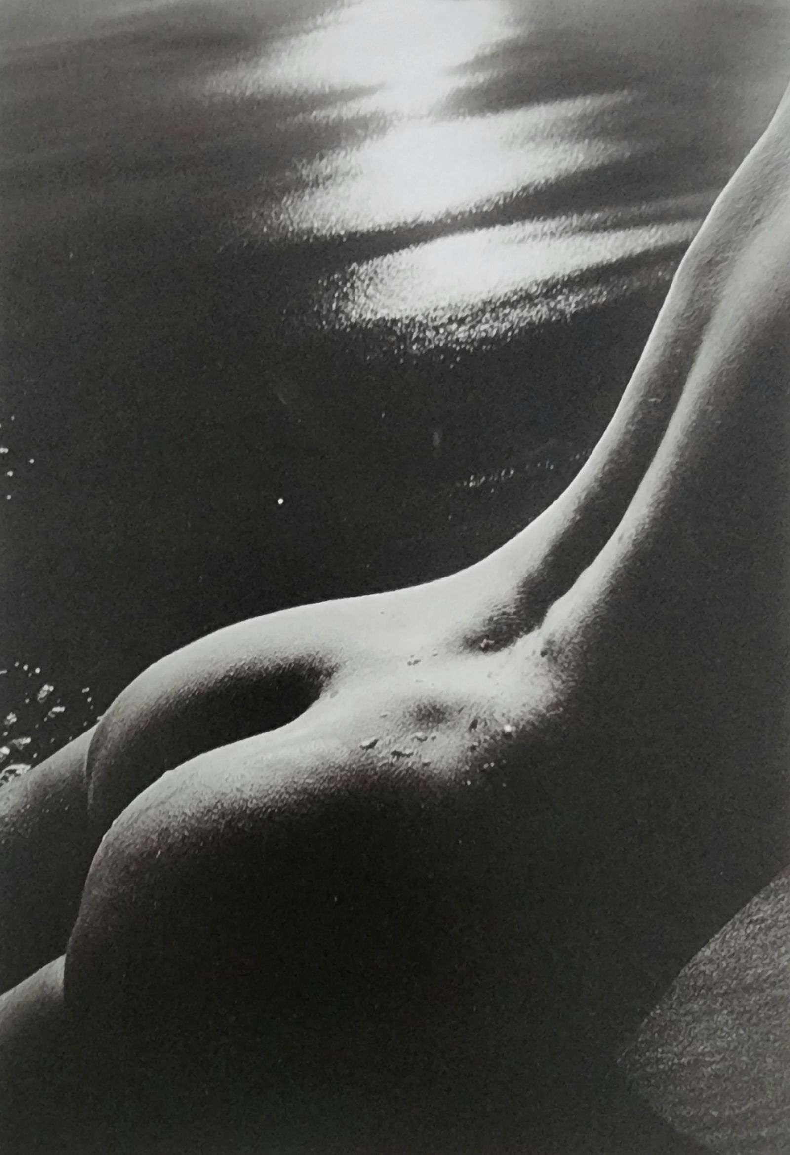 Best Female Nude Photography, 1850 - 2001: Artist/Photographer: Various photogrpher, include: Araki, Exe Arnold, Peter Beard, Bill Brandt, Brassai, Lucien Clergue, Horst P. Horst..... Title/Subject: Best female nudes photography 1850 to 2001 T
