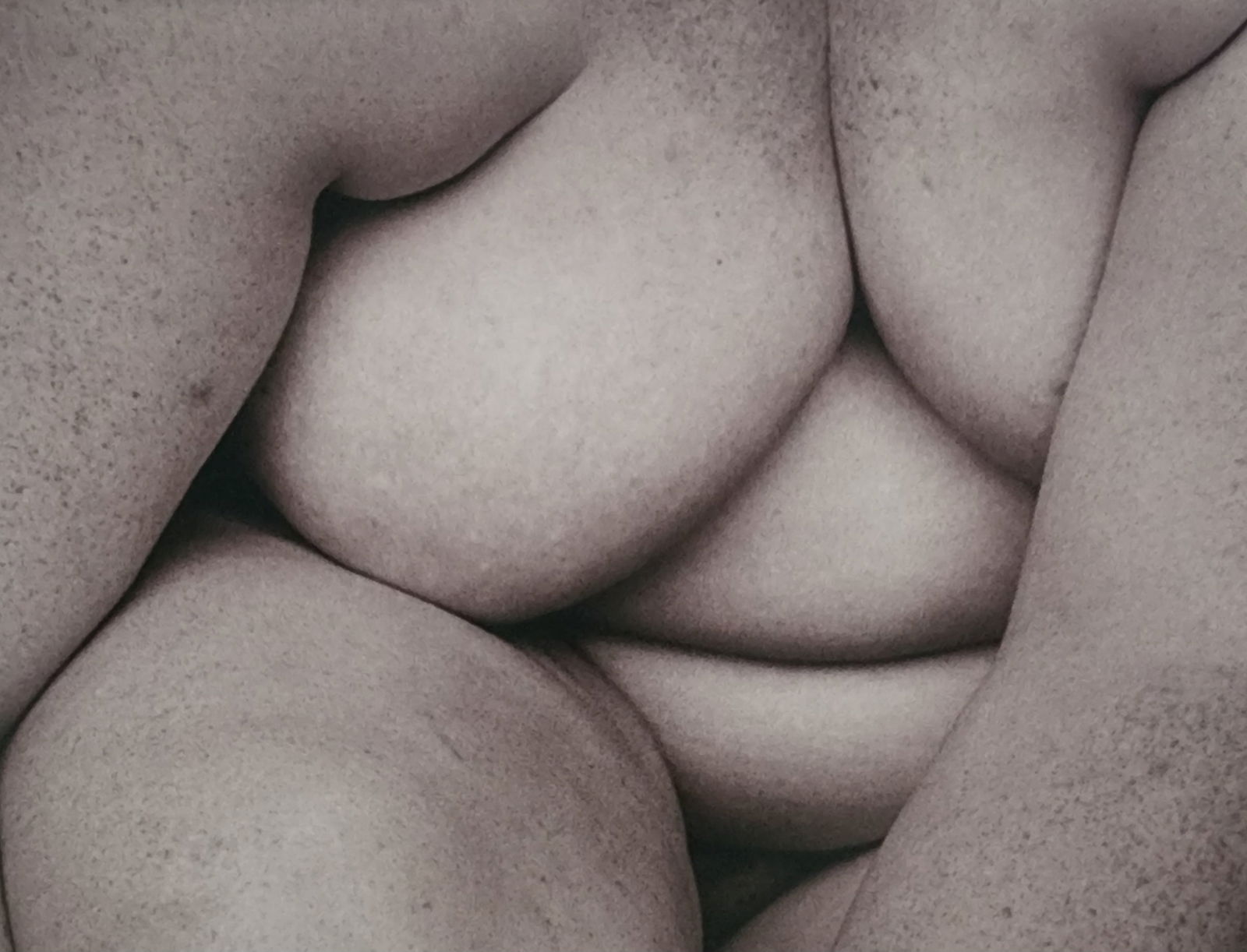 Best Female Nude Photography, 1850 - 2001: Artist/Photographer: Various photogrpher, include: Araki, Exe Arnold, Peter Beard, Bill Brandt, Brassai, Lucien Clergue, Horst P. Horst..... Title/Subject: Best female nudes photography 1850 to 2001 T