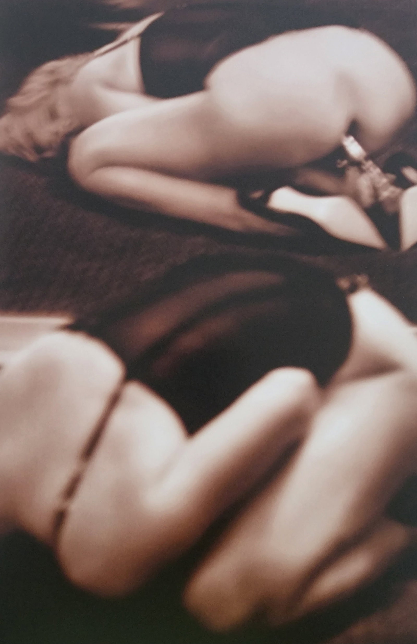 Dian Hanson, Sepia Nudes, 2016: Artist/Photographer: Dian Hanson Title/Subject: Sepia Nudes Type Of Print: Authentic Sheet Fed Photogravure/Heliogravure. Date Of Print: 2016 Paper: Medium weight, satin/matte finish. Print Origin: Sp