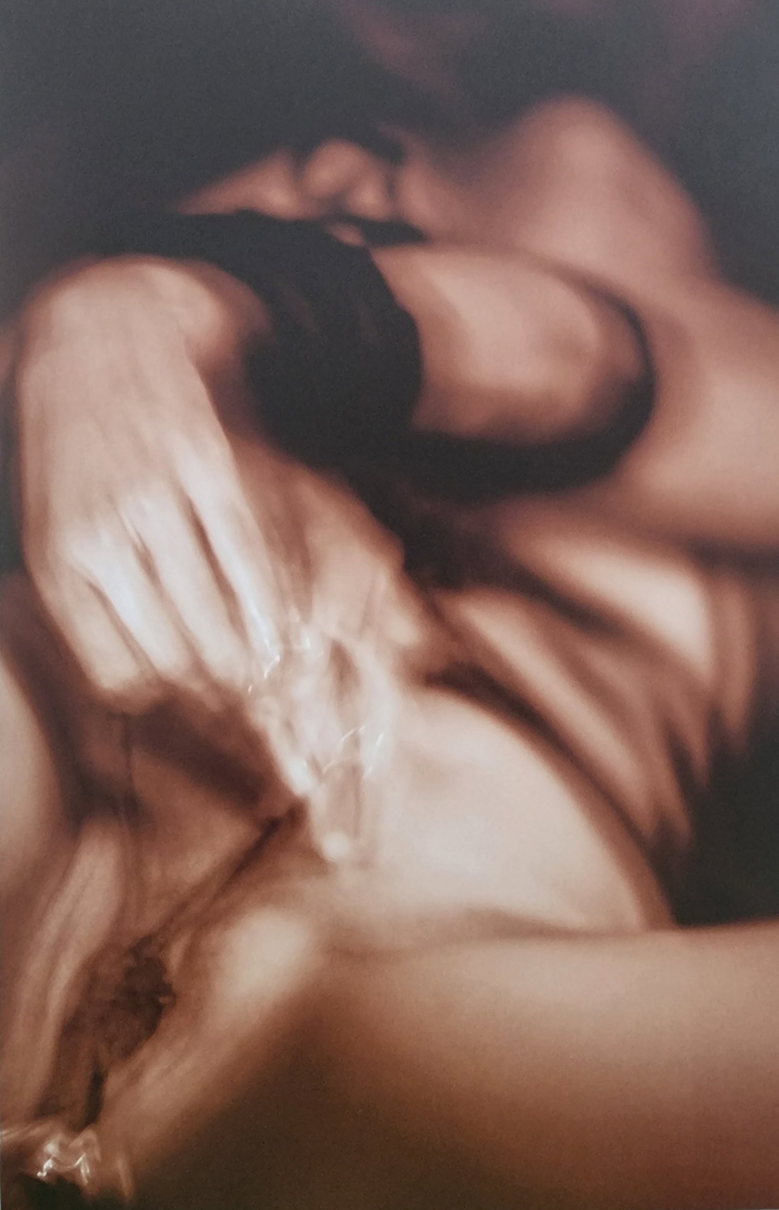 Dian Hanson, Sepia Nudes, 2016: Artist/Photographer: Dian Hanson Title/Subject: Sepia Nudes Type Of Print: Authentic Sheet Fed Photogravure/Heliogravure. Date Of Print: 2016 Paper: Medium weight, satin/matte finish. Print Origin: Sp