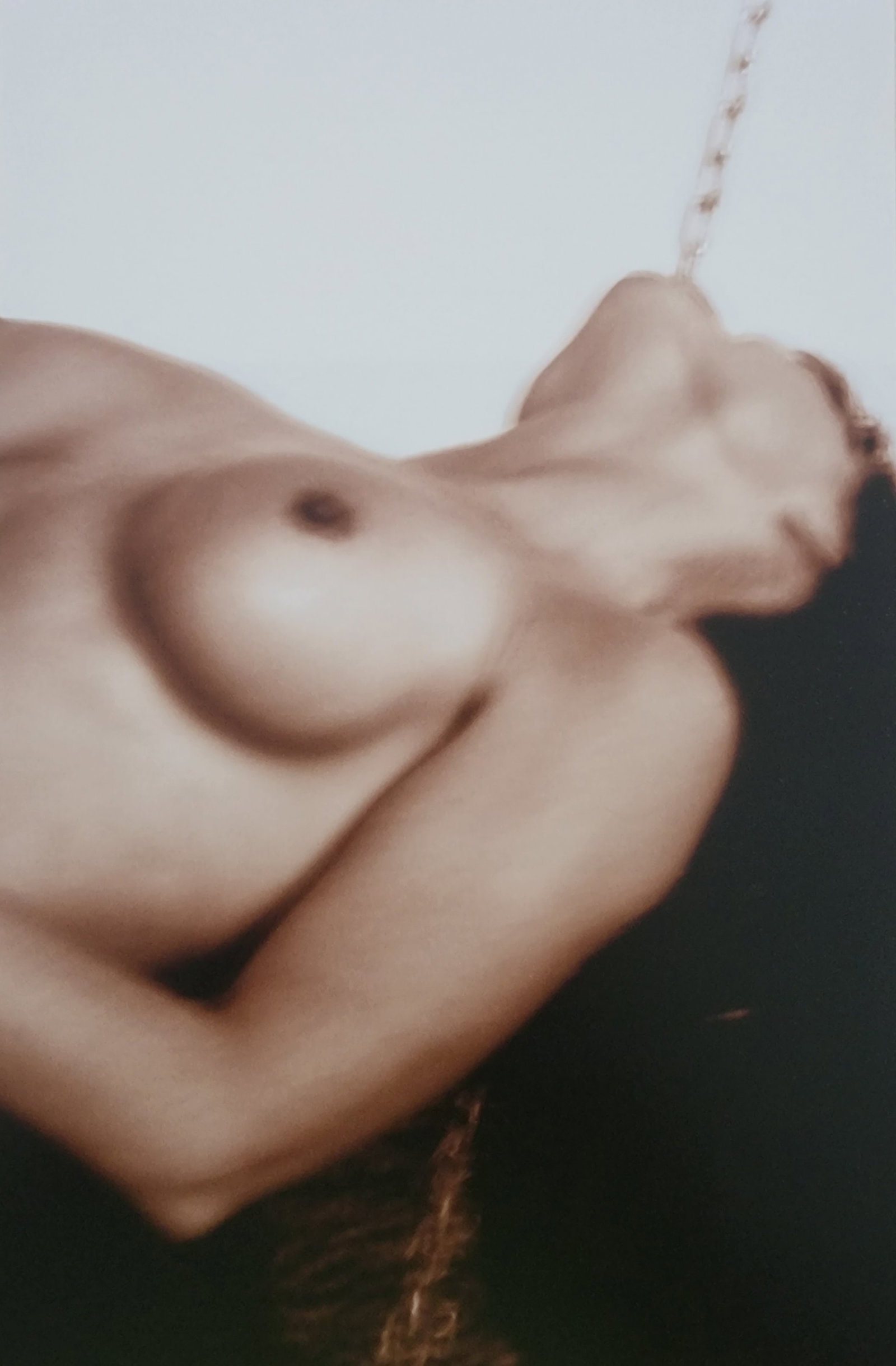 Dian Hanson, Sepia Nudes, 2016: Artist/Photographer: Dian Hanson Title/Subject: Sepia Nudes Type Of Print: Authentic Sheet Fed Photogravure/Heliogravure. Date Of Print: 2016 Paper: Medium weight, satin/matte finish. Print Origin: Sp