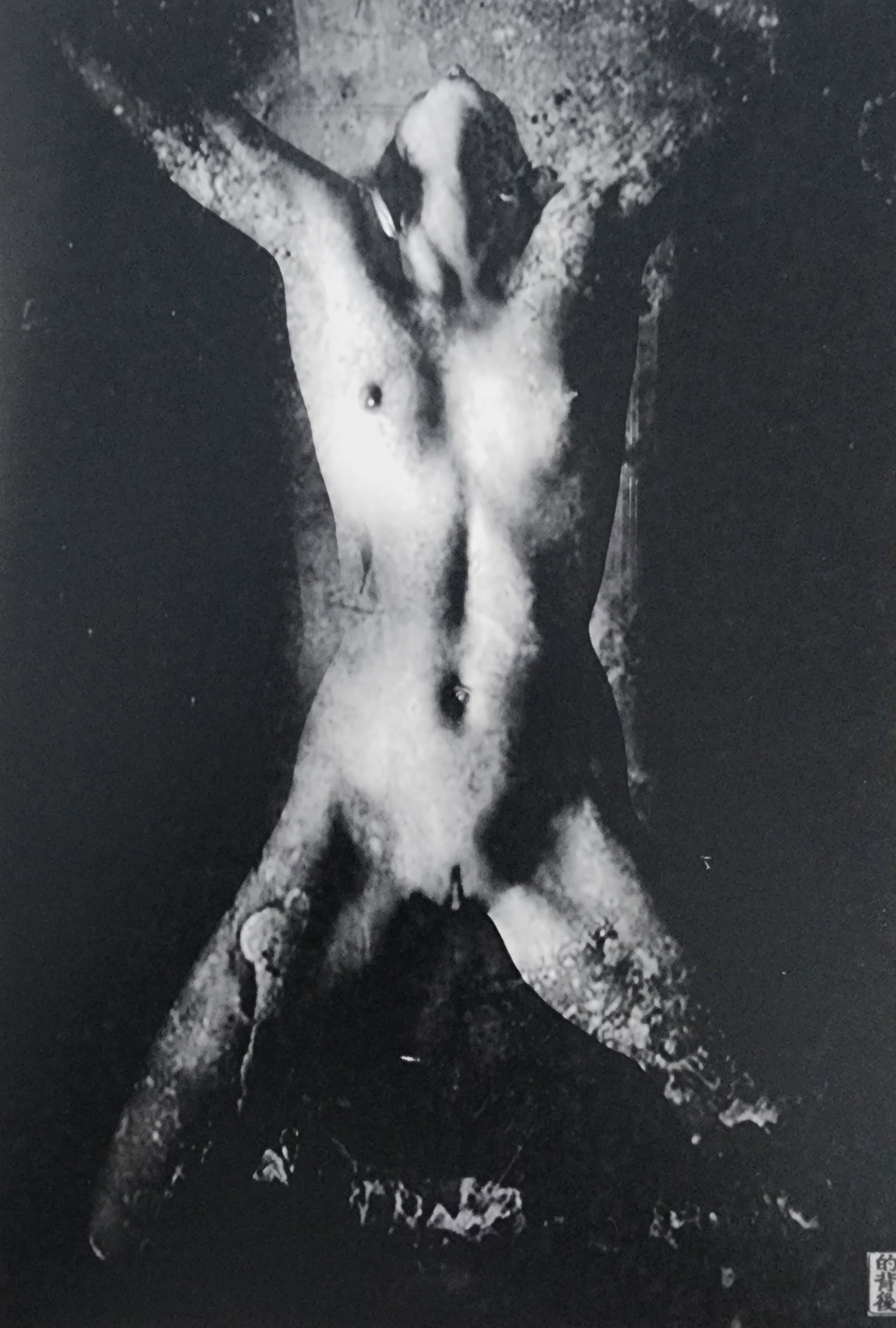 China Hamilton, 'Domina, 2017: Artist/Photographer: China Hamilton Title/Subject: Domina Type Of Print: Authentic Sheet Fed Photogravure/Heliogravure. Date Of Print: 2017 Paper: Medium weight, satin/matte finish. Print Origin: Germ