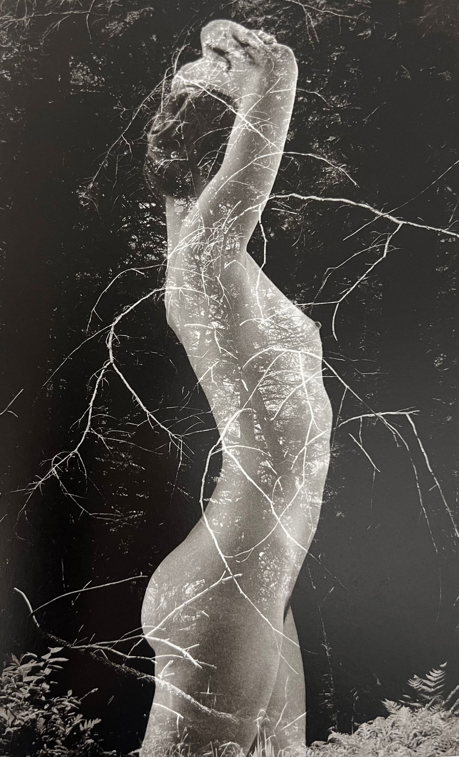 Ruth Bernhard, Symbiosis, 1971 (1 of 1)
