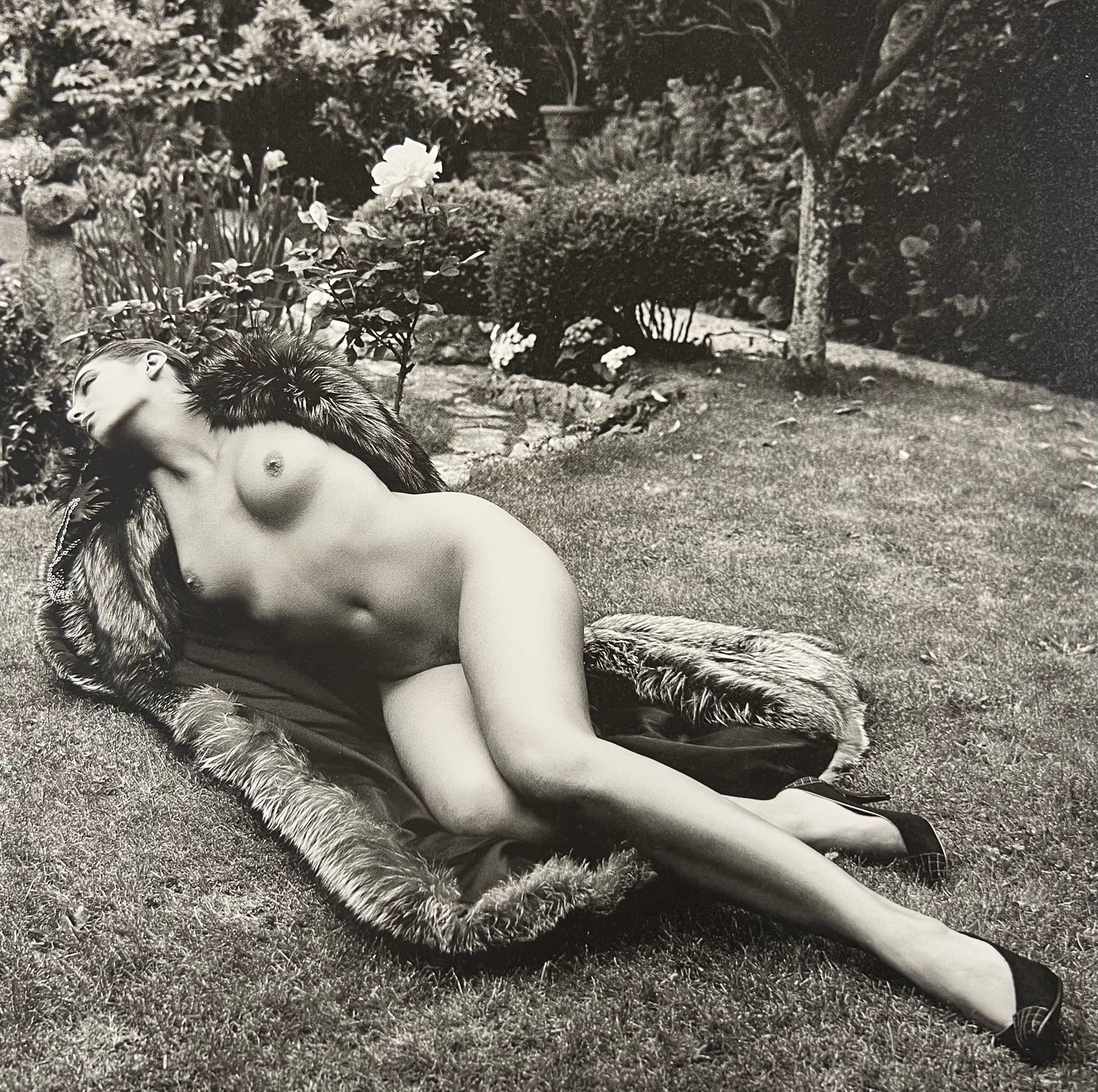 Helmut Newton, Nude in Silver Fox 1981: Photographer: Helmut Newton (Germany, 1920 - 2004) - best known for his erotically charged highly stylized images, Helmut Newton was one of the most influential fashion photographers of all time. Titl