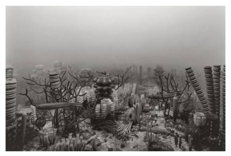 Hiroshi Sugimoto, Permian Period, 1992, Limited Edition Of 360: Photographer: Hiroshi Sugimoto is a contemporary Japanese photographer whose esoteric practice explores memory and time. Using the intrinsic quality of long exposure photography, the artist provides i