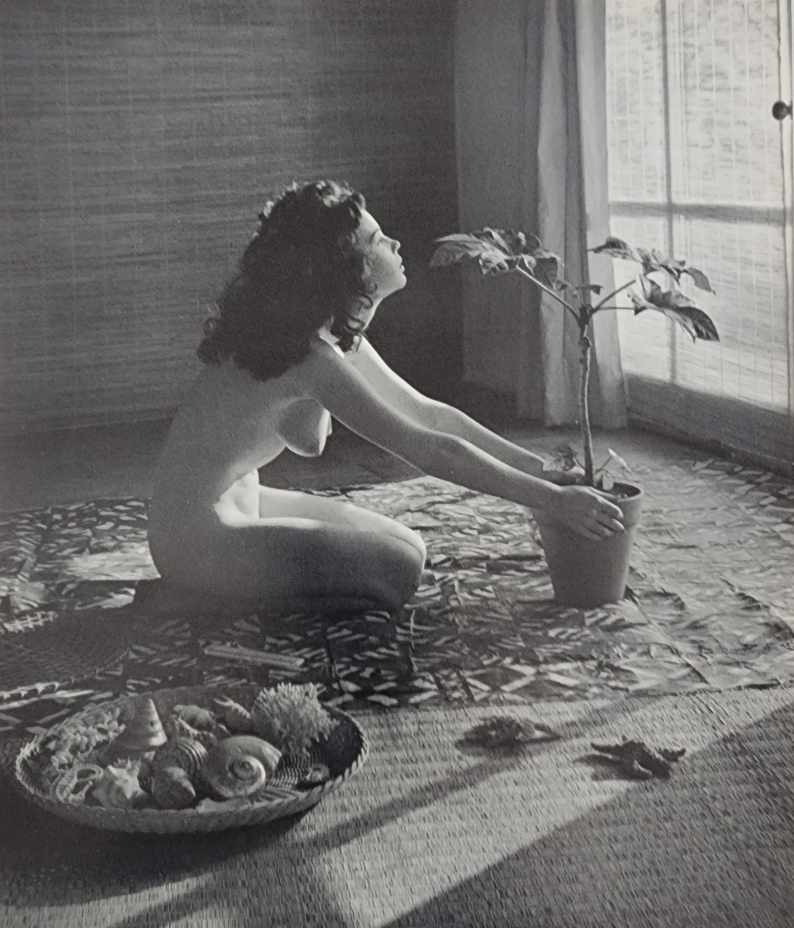 Andre de Dienes, New Nudes - Vintage, 1961: Artist / Photographer: Andre de Dienes Title/Subject: New Nudes - Vintage, 1961 Condition: Extra Fine - Excellent Type Of Print: Authentic Sheet Fed Photogravure/Heliogravure. Paper: Medium weight, sa