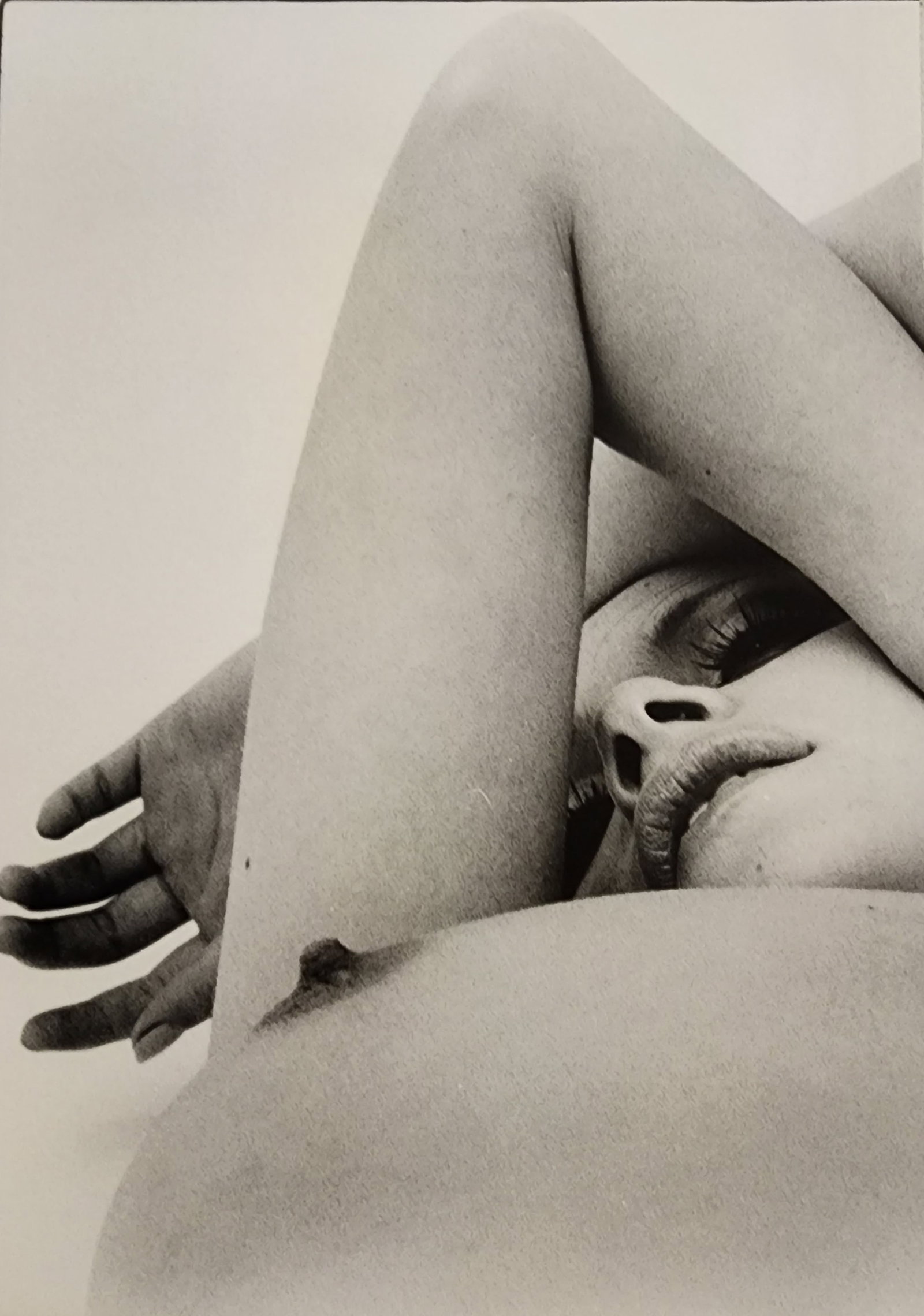 Hideki Fujii, Masterful Boudoir, 1992: Artist/Photographer: Hideki Fujii Title/Subject: Master Nudes, 1992 Condition: Extra Fine - Excellent Type Of Print: Authentic Sheet Fed Photogravure/Heliogravure Paper: Medium weight, satin/matte fin
