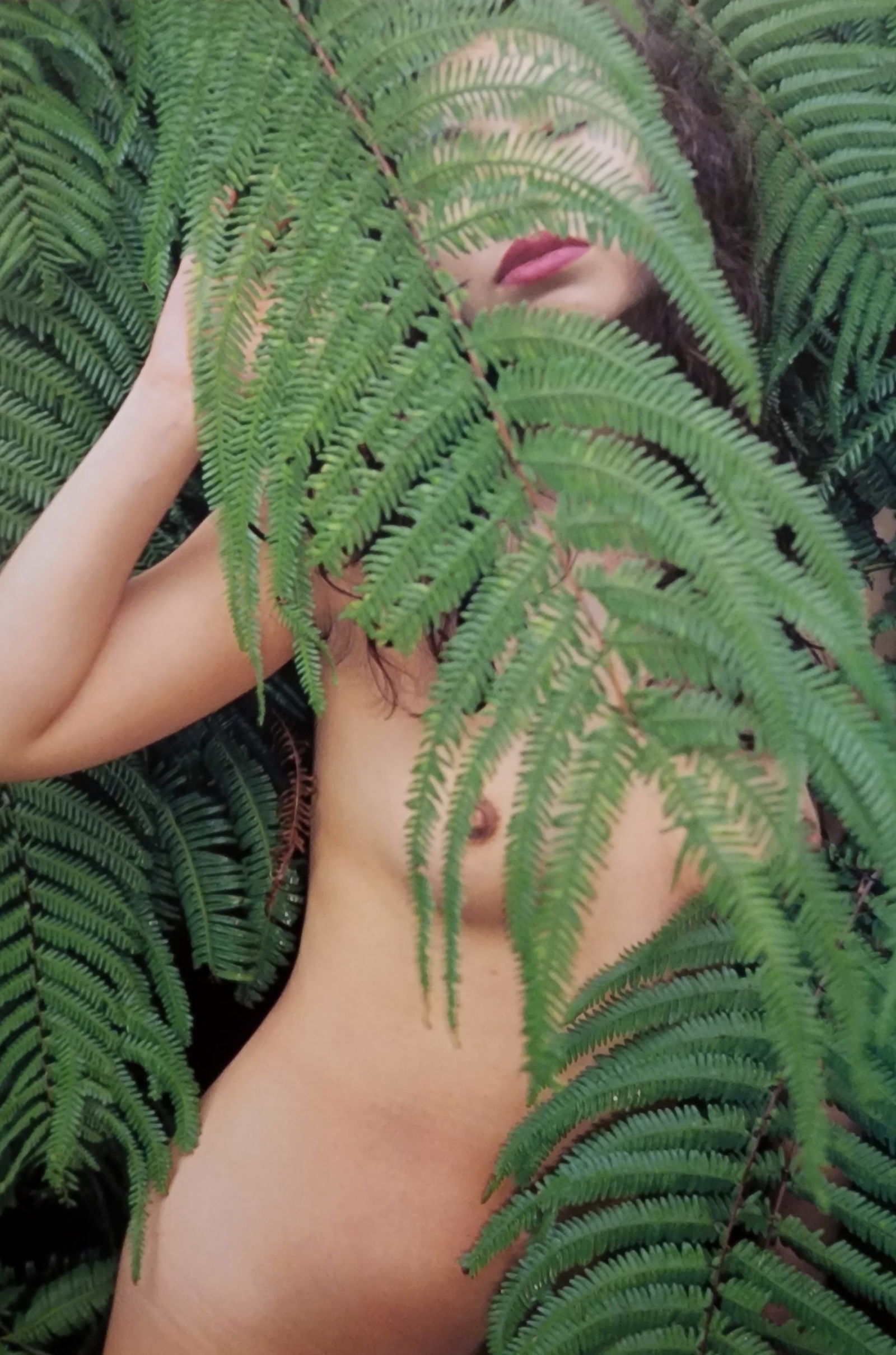 Hideki Fujii, Masterful Boudoir, 1992: Artist/Photographer: Hideki Fujii Title/Subject: Master Nudes, 1992 Condition: Extra Fine - Excellent Type Of Print: Authentic Sheet Fed Photogravure/Heliogravure Paper: Medium weight, satin/matte fin