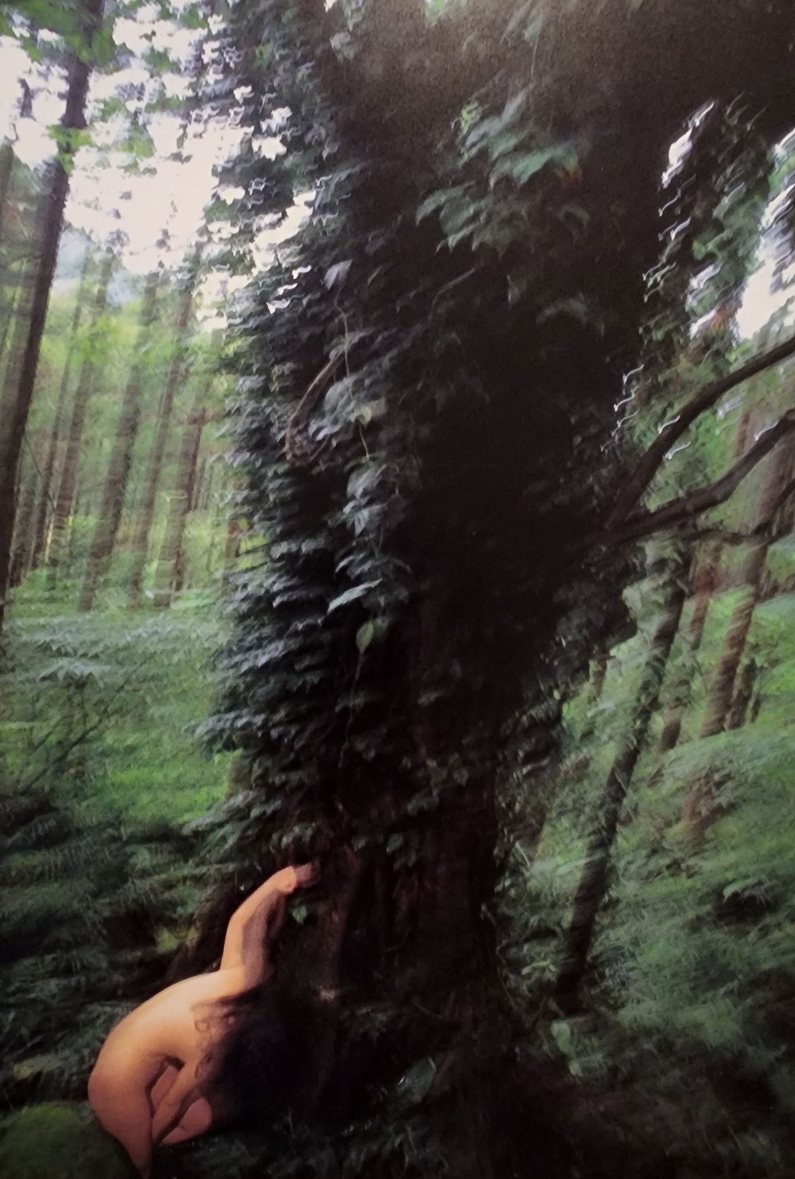 Hideki Fujii, Masterful Boudoir, 1992: Artist/Photographer: Hideki Fujii Title/Subject: Master Nudes, 1992 Condition: Extra Fine - Excellent Type Of Print: Authentic Sheet Fed Photogravure/Heliogravure Paper: Medium weight, satin/matte fin