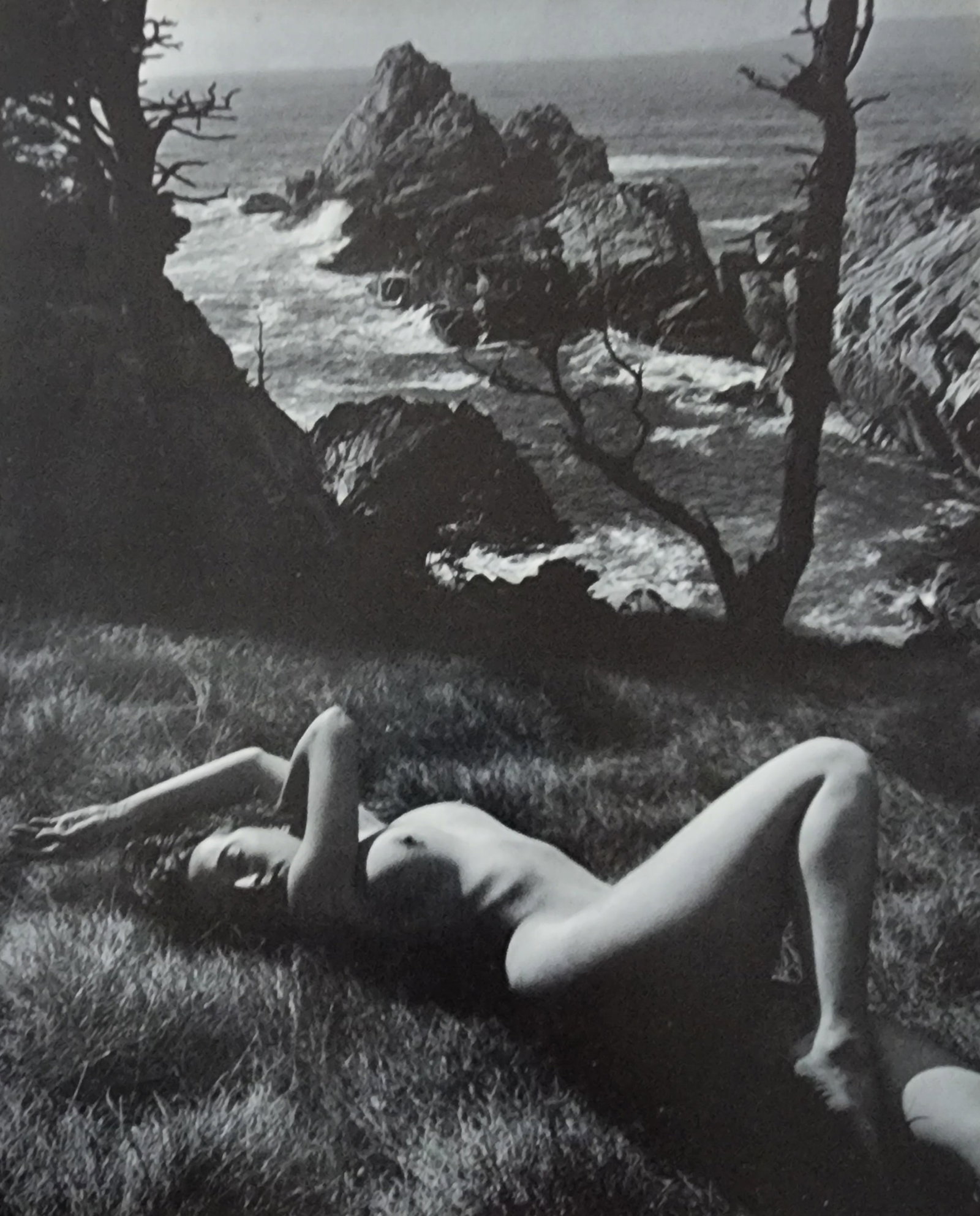 Andre de Dienes, Sun-Warmed Nude 1965: Artist/Photographer: Andre de Dienes Title/Subject: Sun-Warmed Nude Type Of Print: Authentic Sheet Fed Photogravure/Heliogravure. Date Of Print: 1965 Paper: Medium weight, satin/matte finish. Print Or